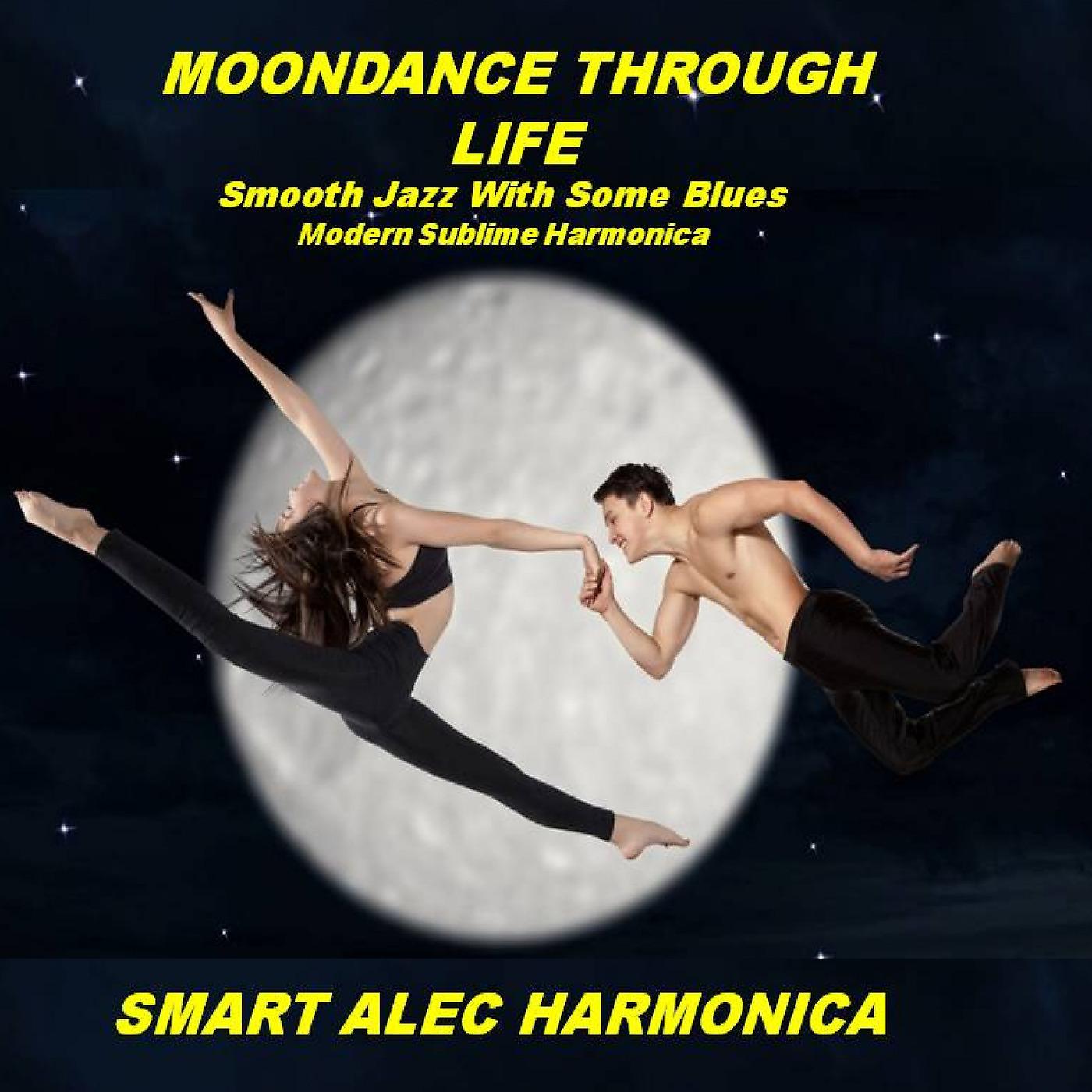 Постер альбома Moondance Through Life