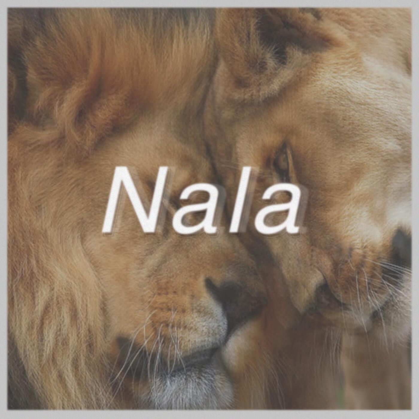 MMYYKK - Nala