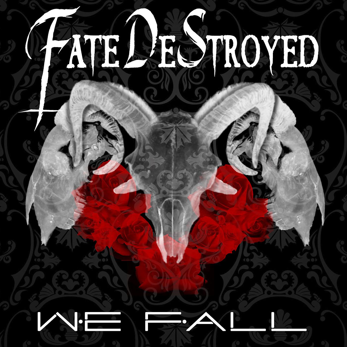 Постер альбома We Fall (Radio Edit)