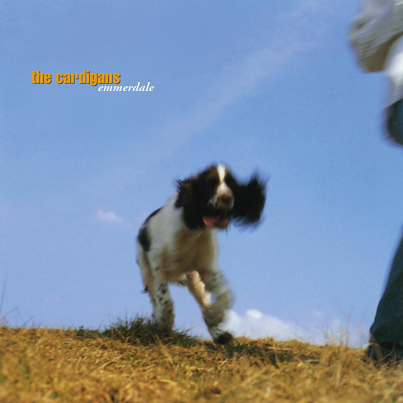 The Cardigans - Celia Inside