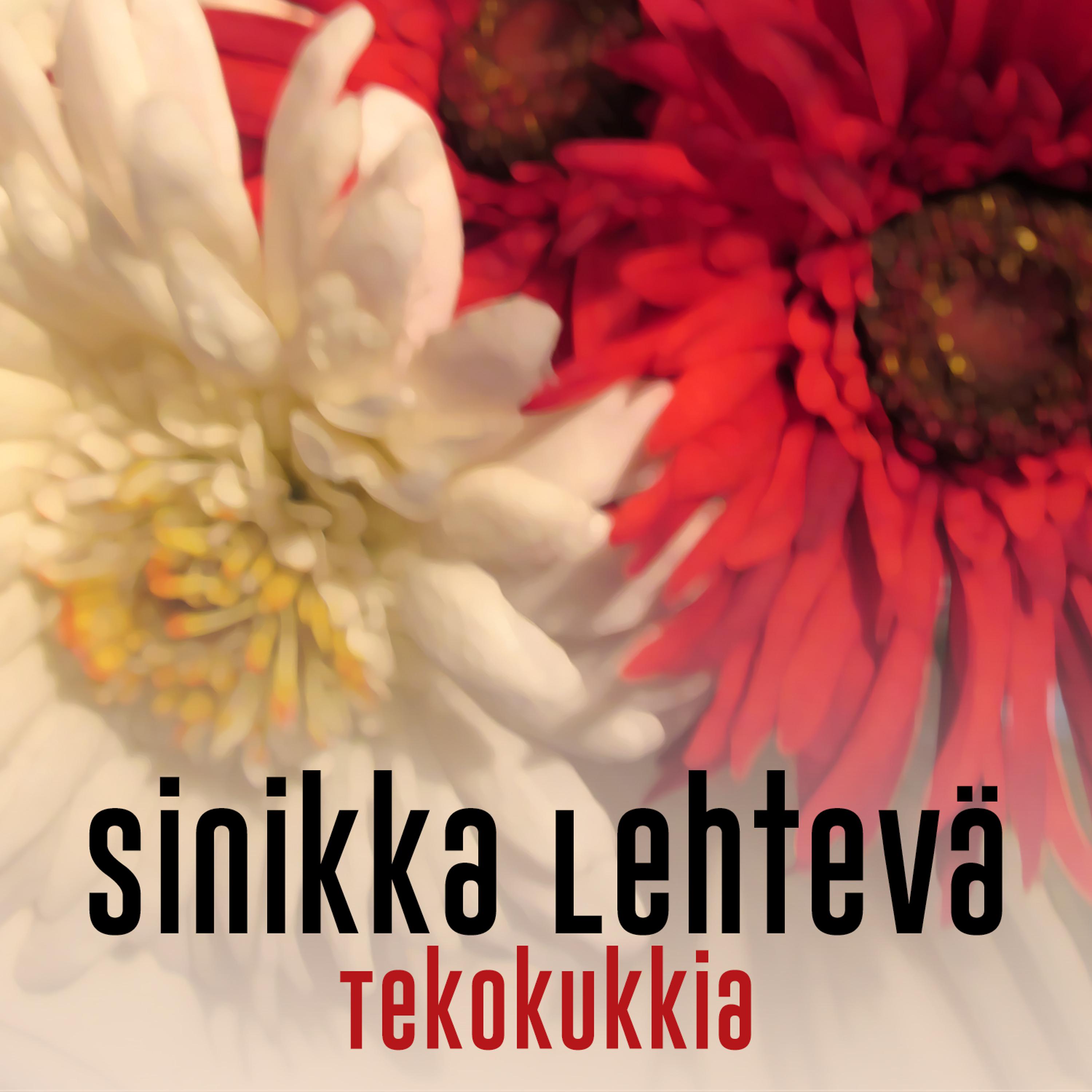 Постер альбома Tekokukkia