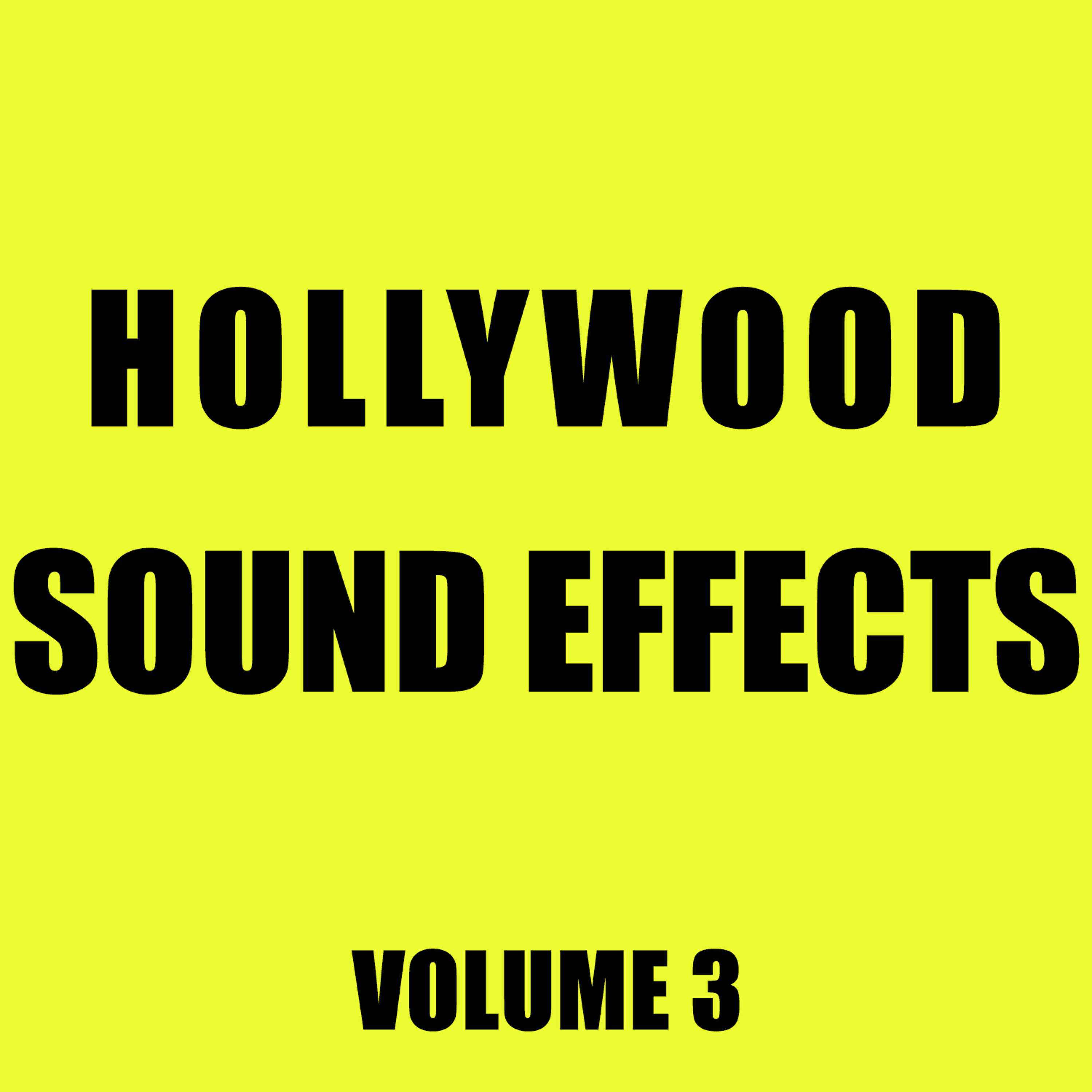 Hollywood Sound Effects Library - Snappy