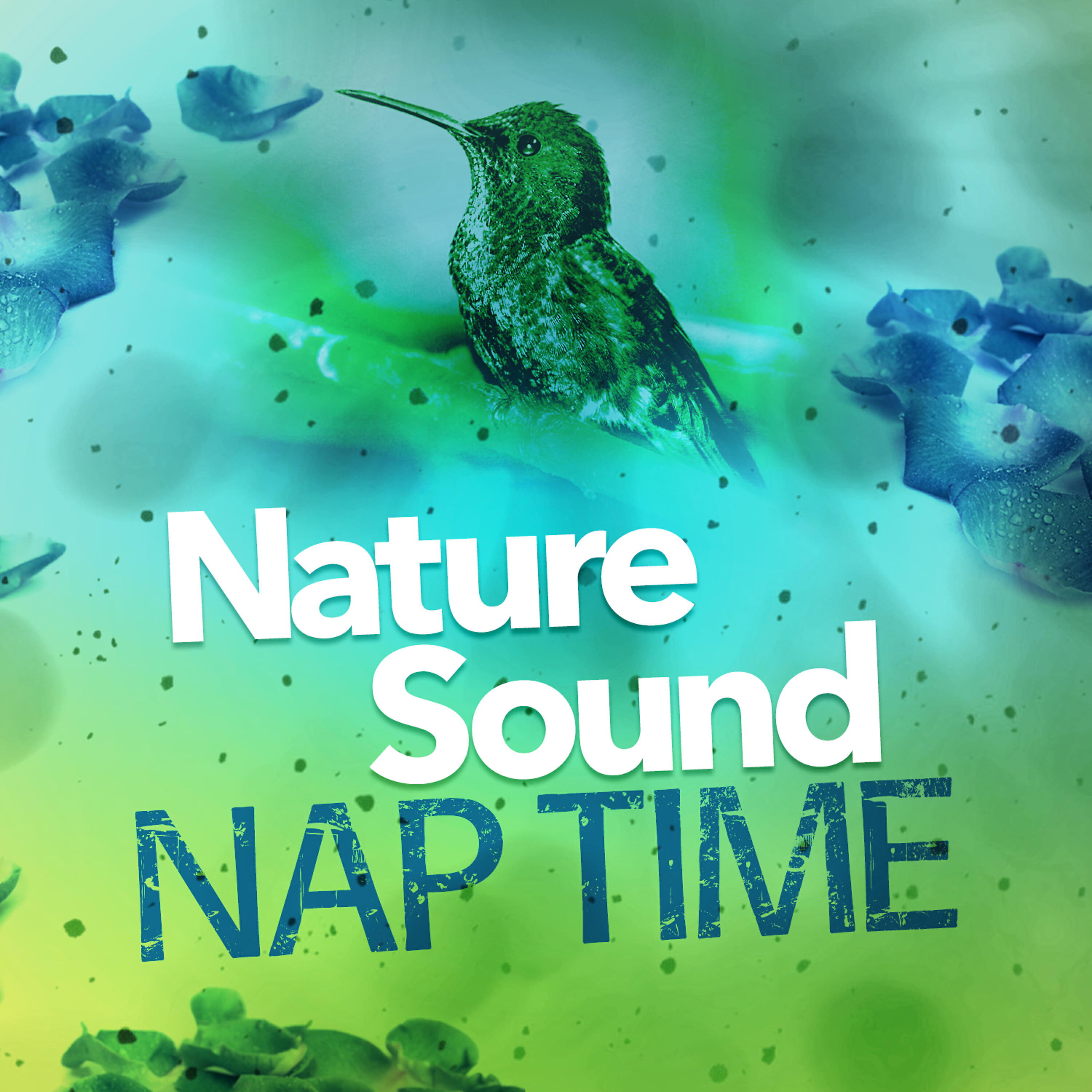 Nature Sounds Sleep - Woodland Life