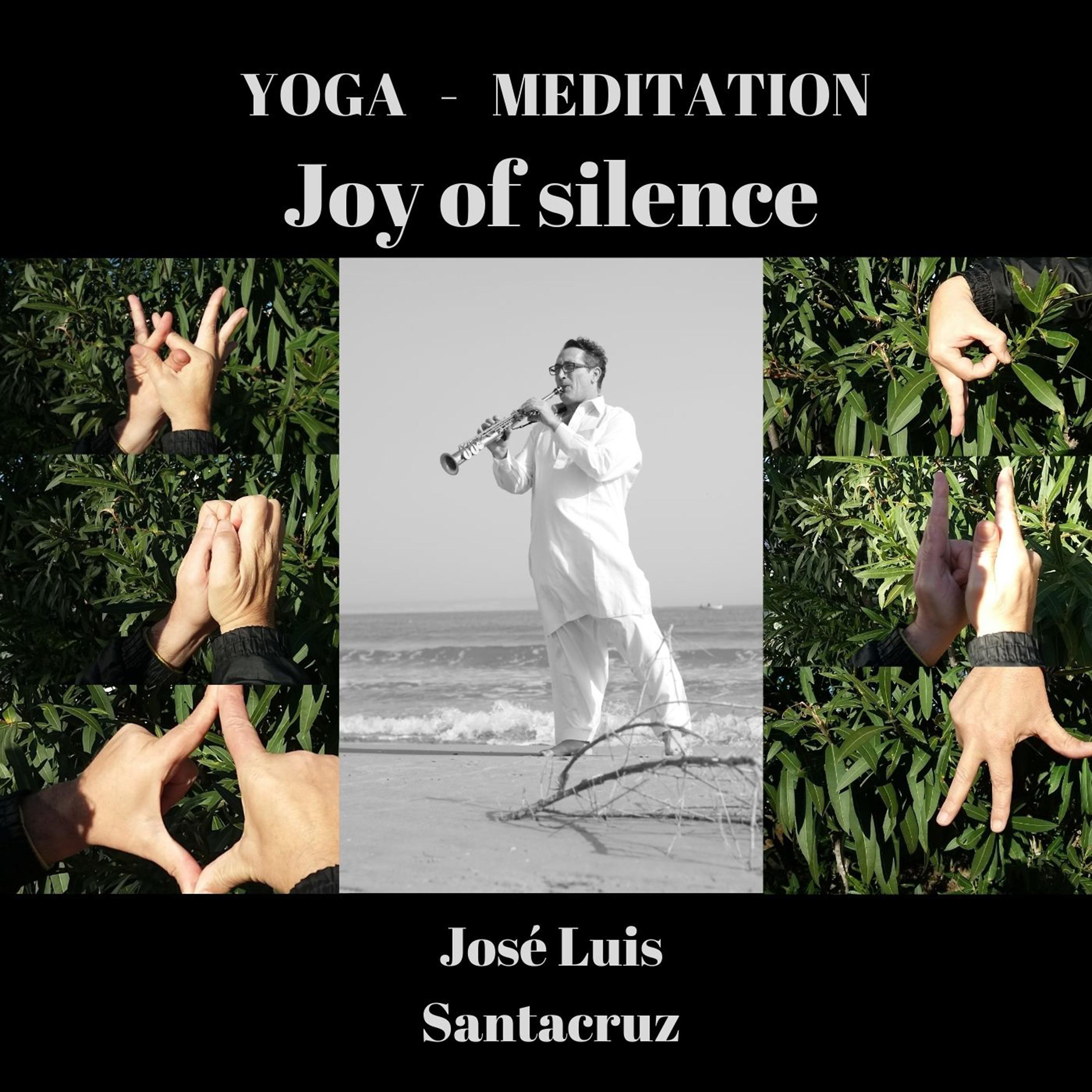 Постер альбома YOGA MEDITATION (Joy of Silence)
