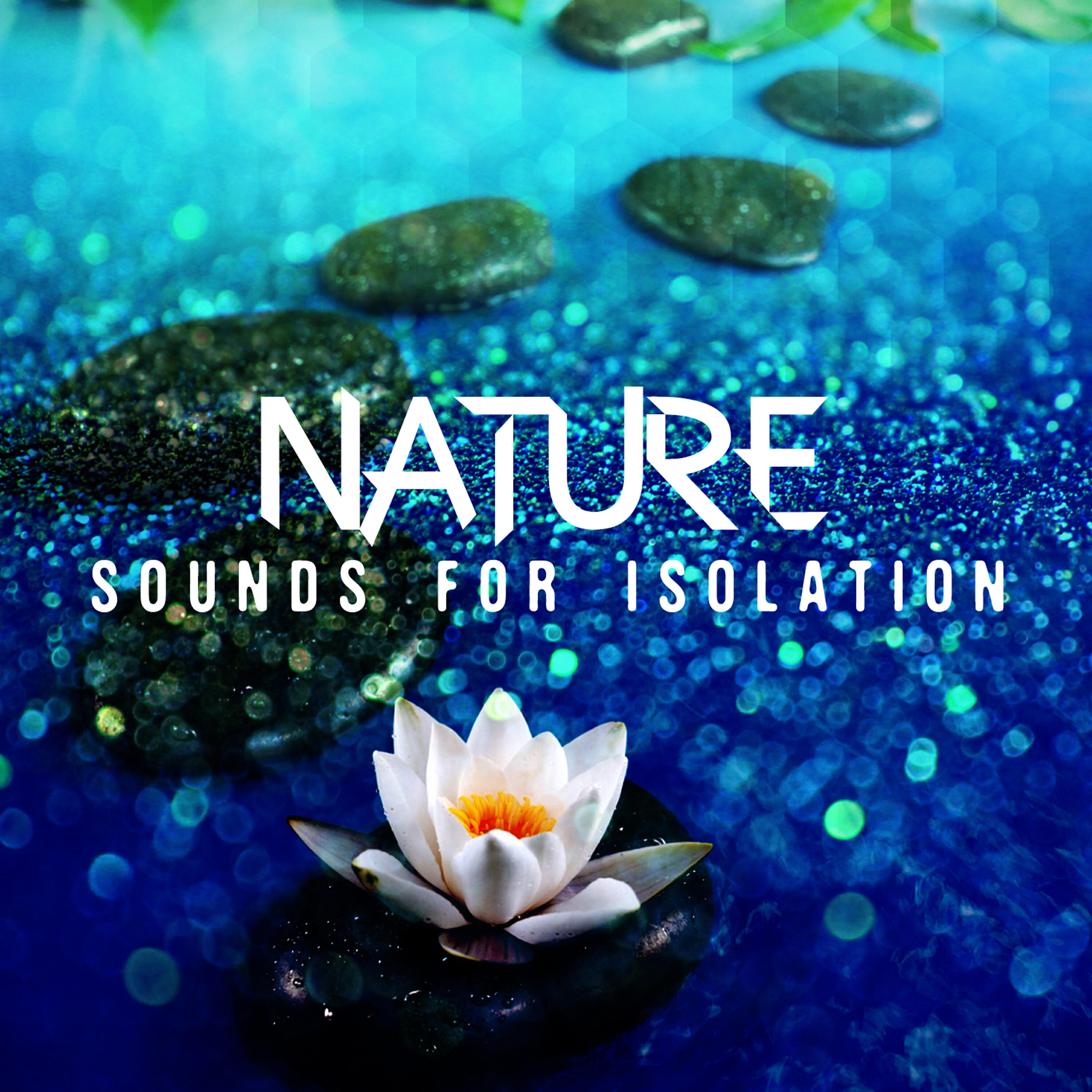 Mediation Sounds of Nature - Forest Waterway