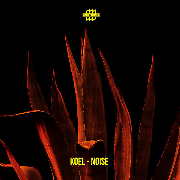 KOEL - TLT