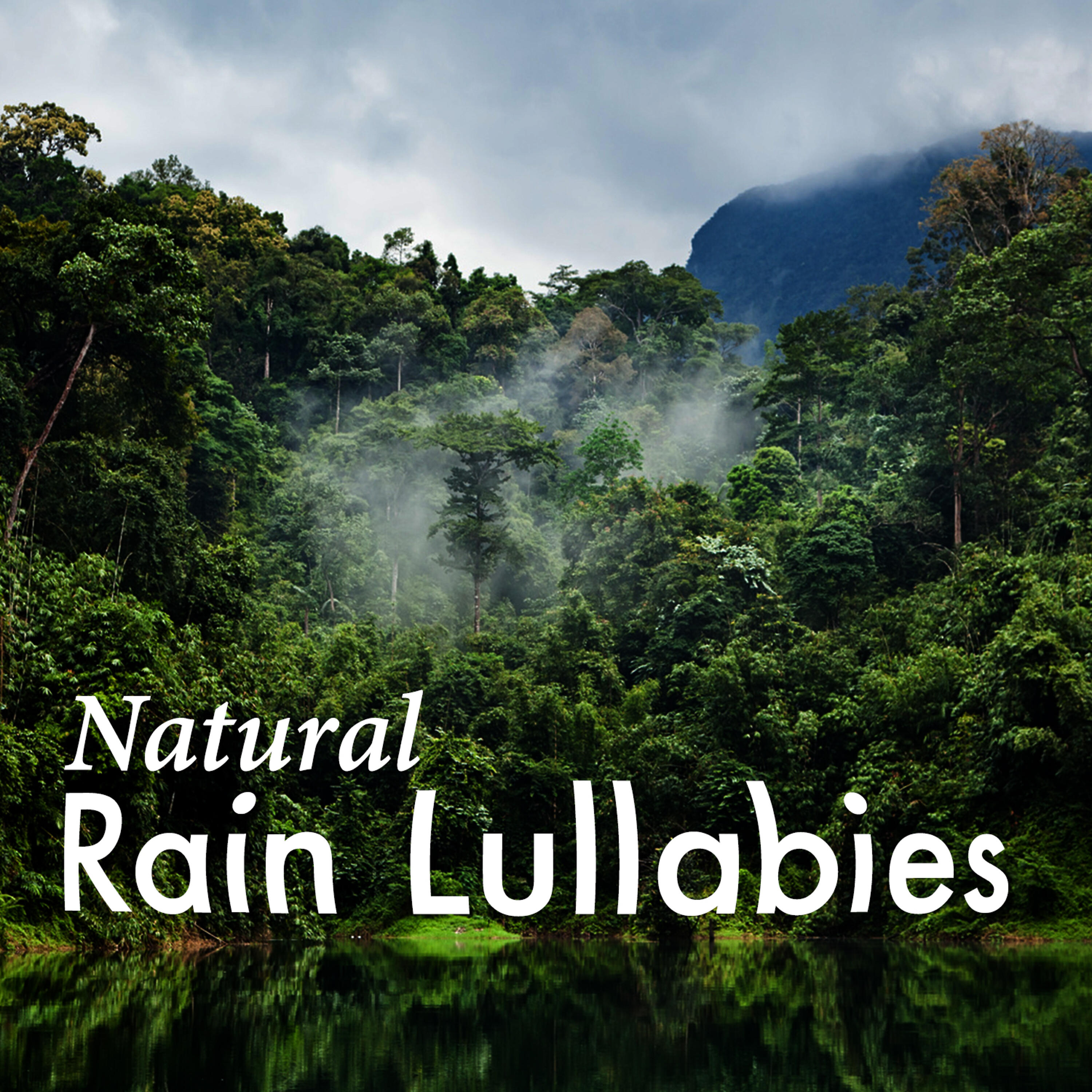Rain Sounds - Sleep Moods - The Rain Builds