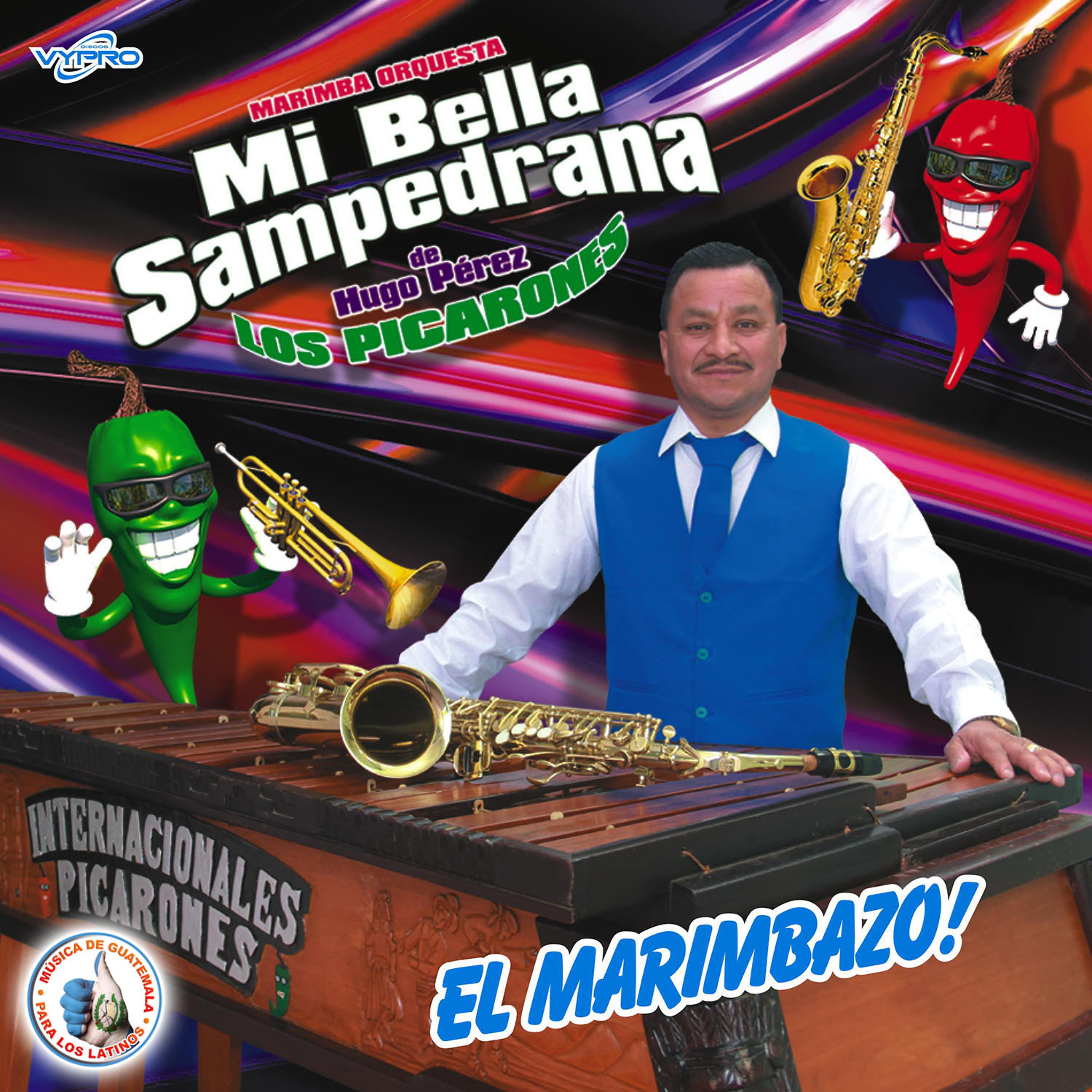 Постер альбома El Marimbazo! Música de Guatemala para los Latinos