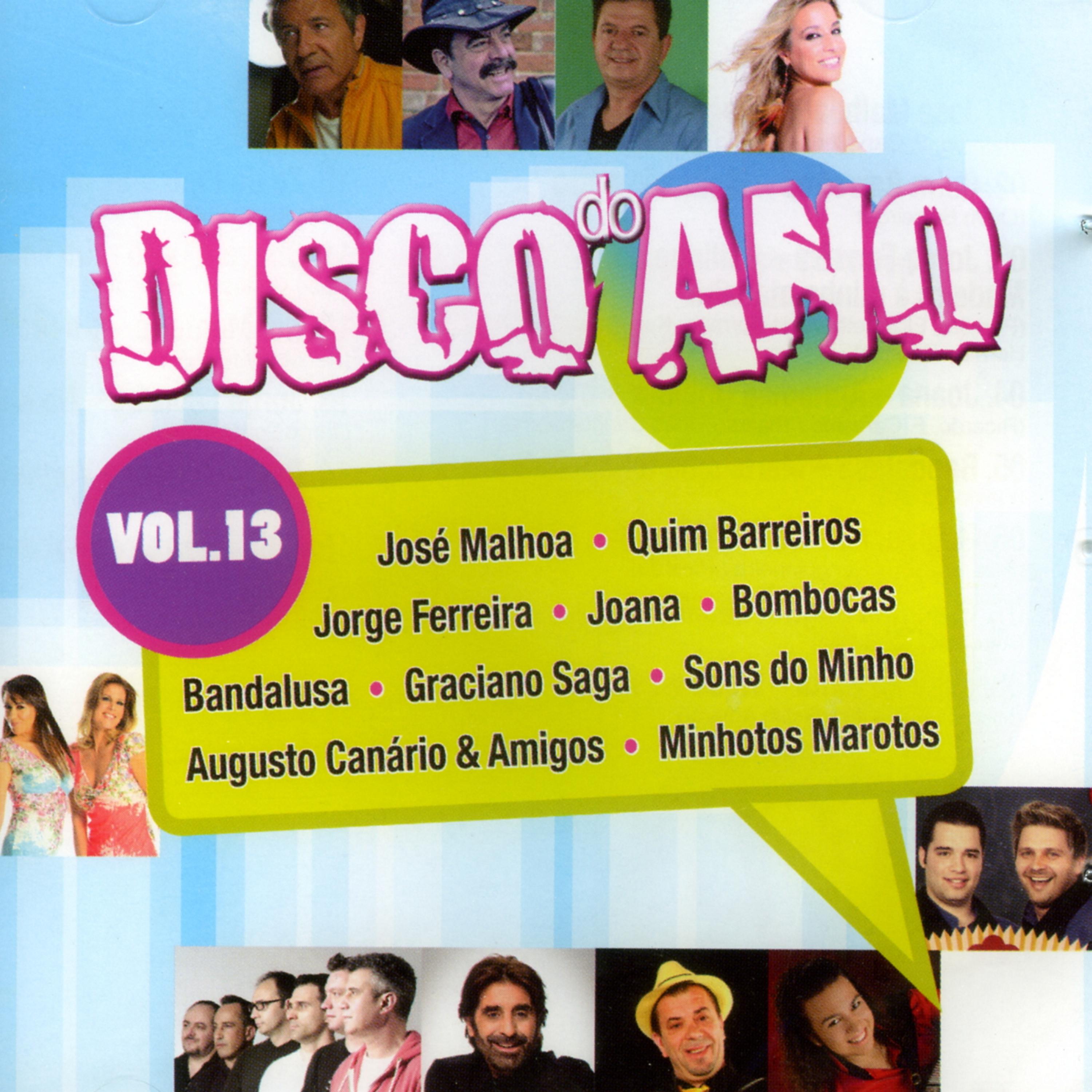 Постер альбома Disco do Ano Vol. 13