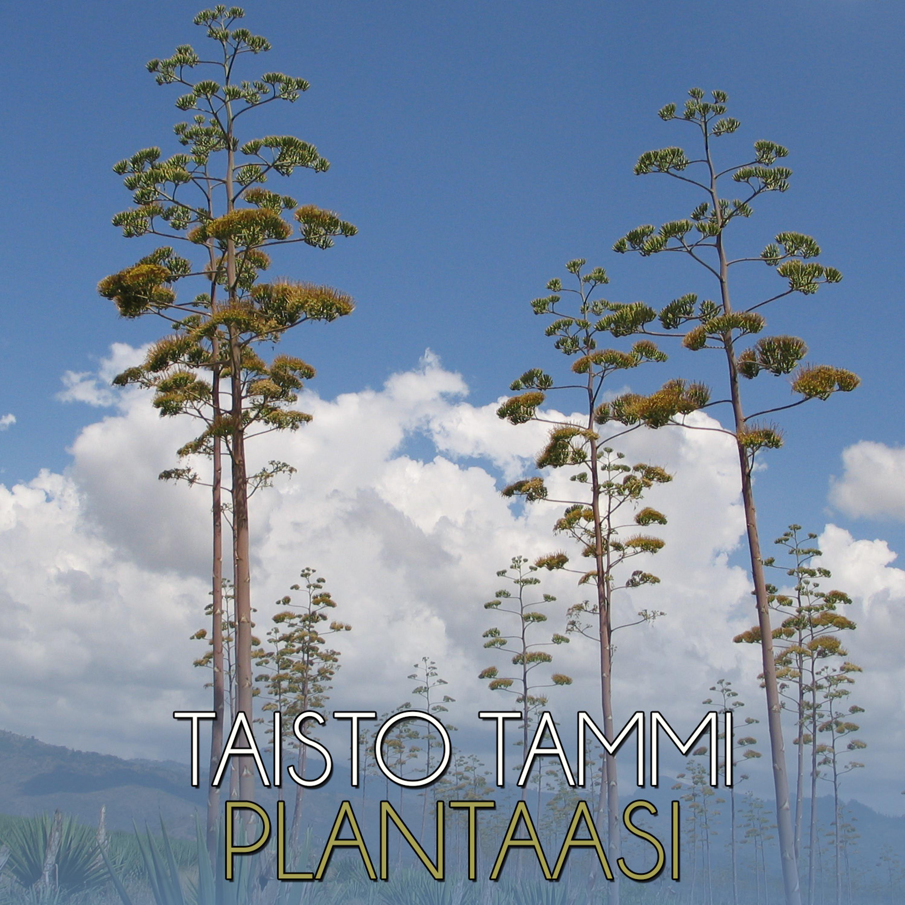 Постер альбома Plantaasi