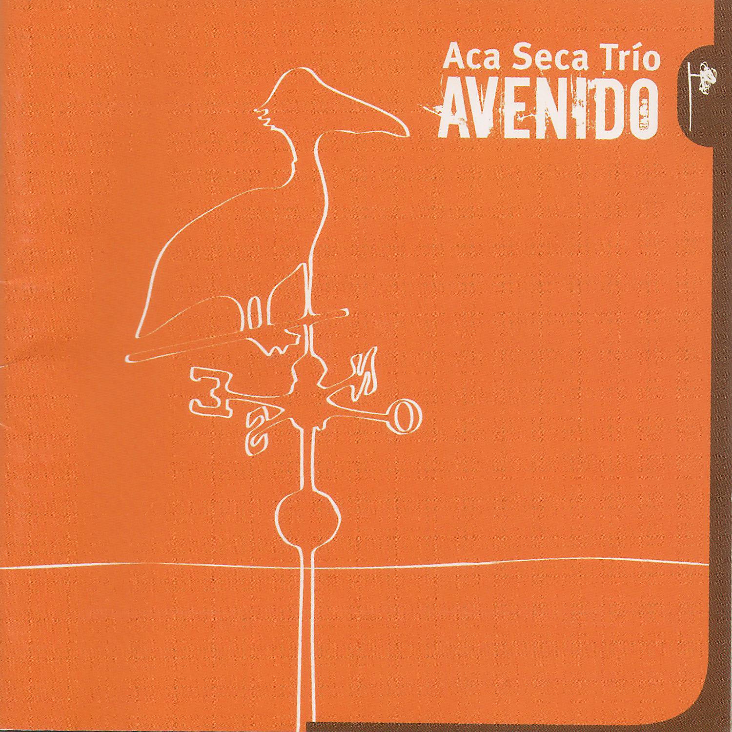 Постер альбома Avenido
