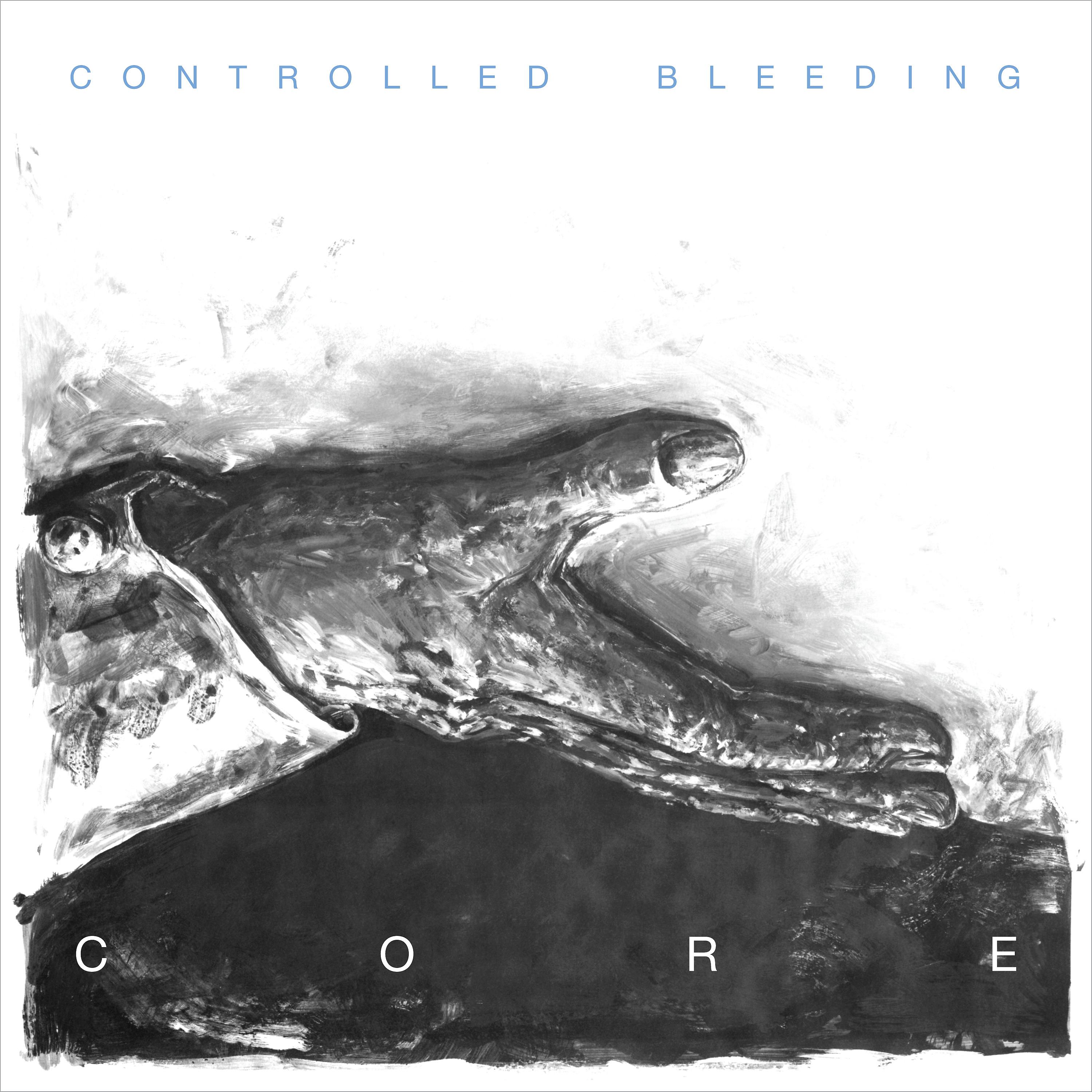 Постер альбома Core