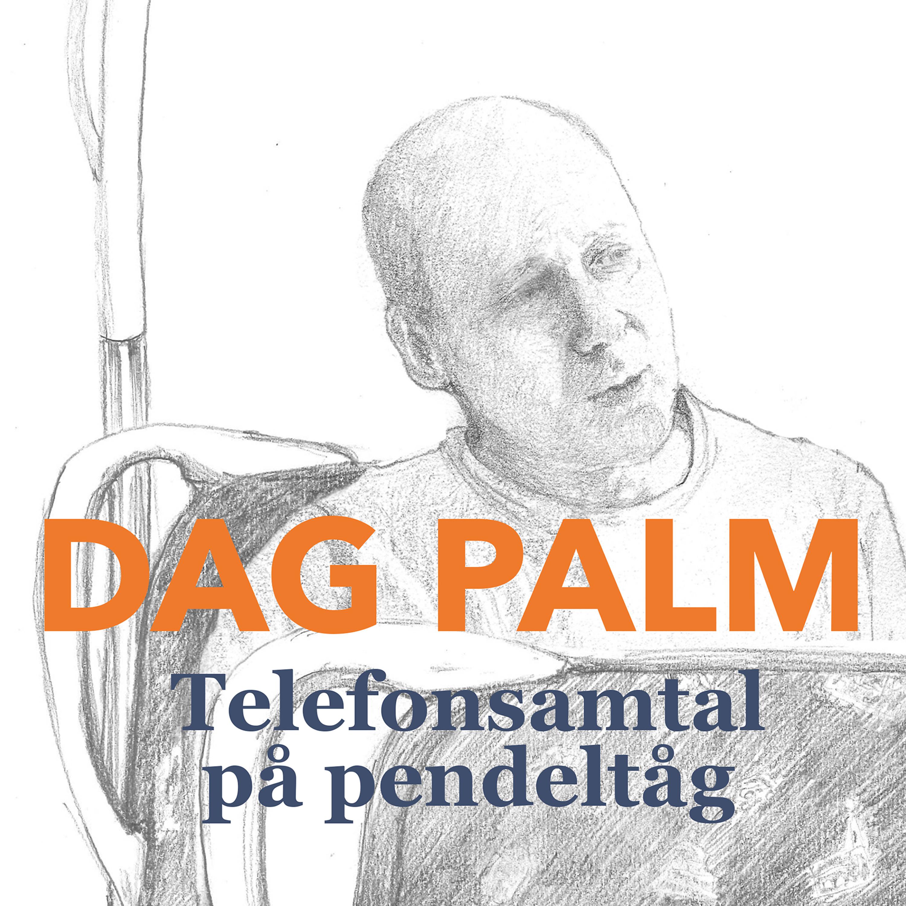 Постер альбома Telefonsamtal På Pendeltåg