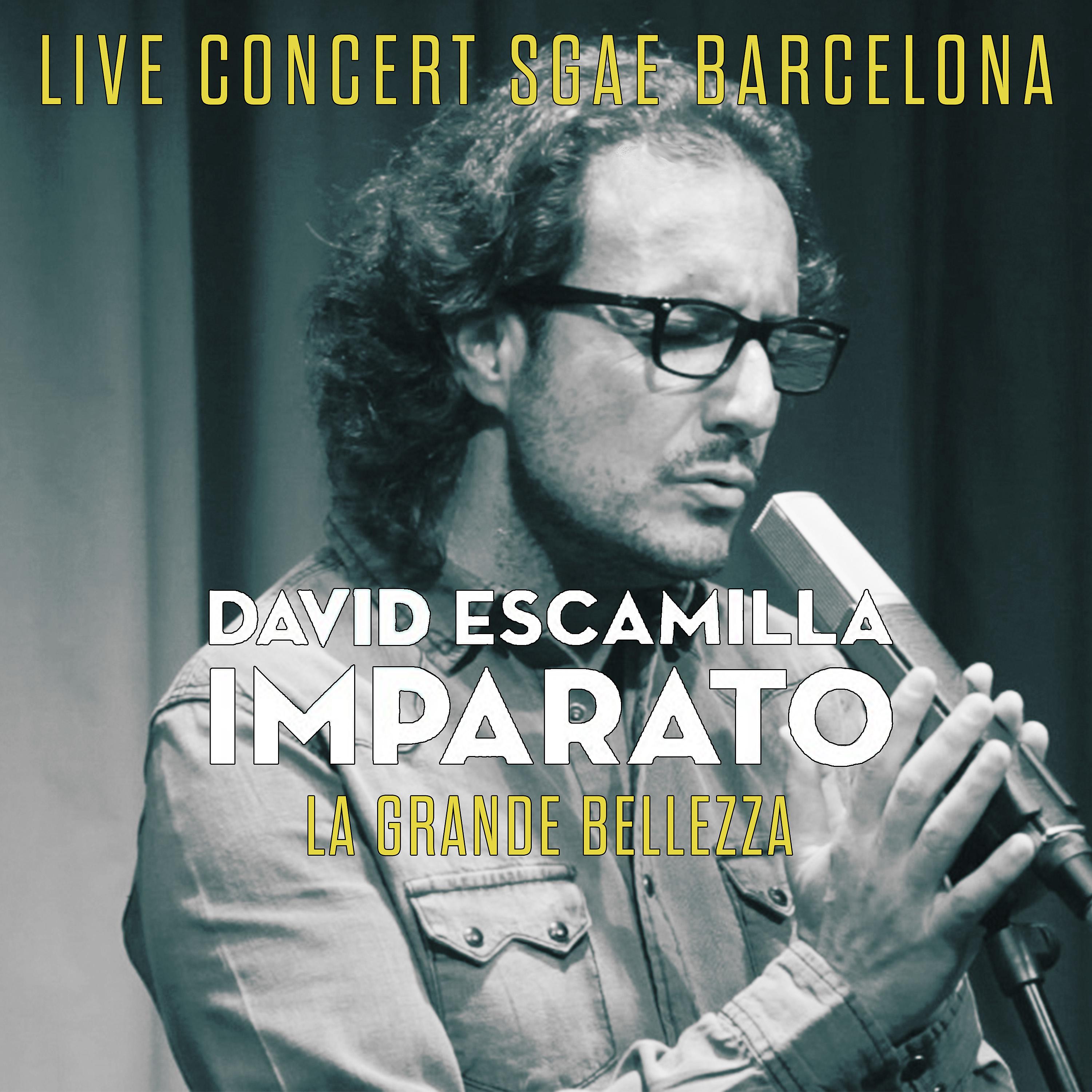 Постер альбома Live Concert Sgae Barcelona