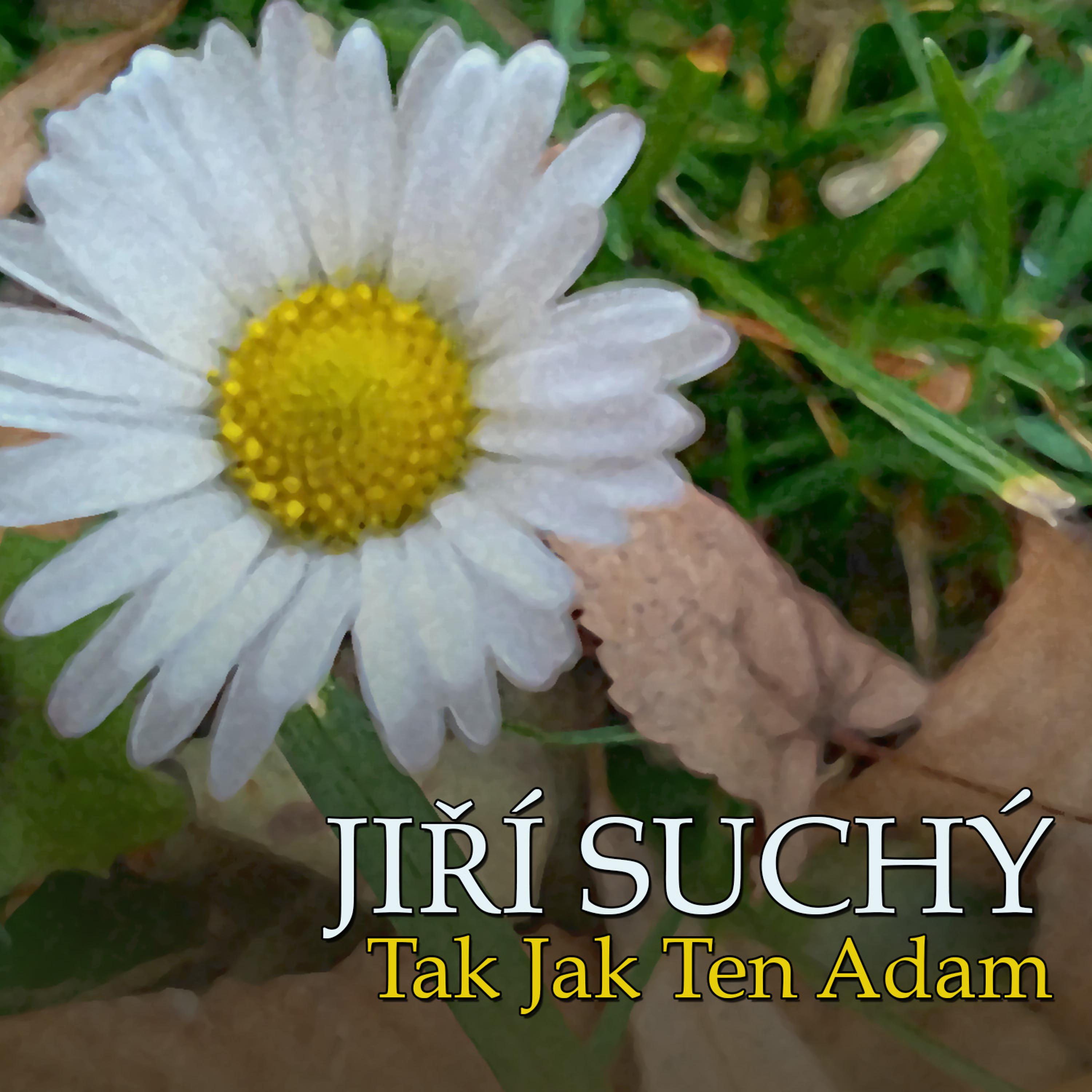 Постер альбома Tak Jak Ten Adam