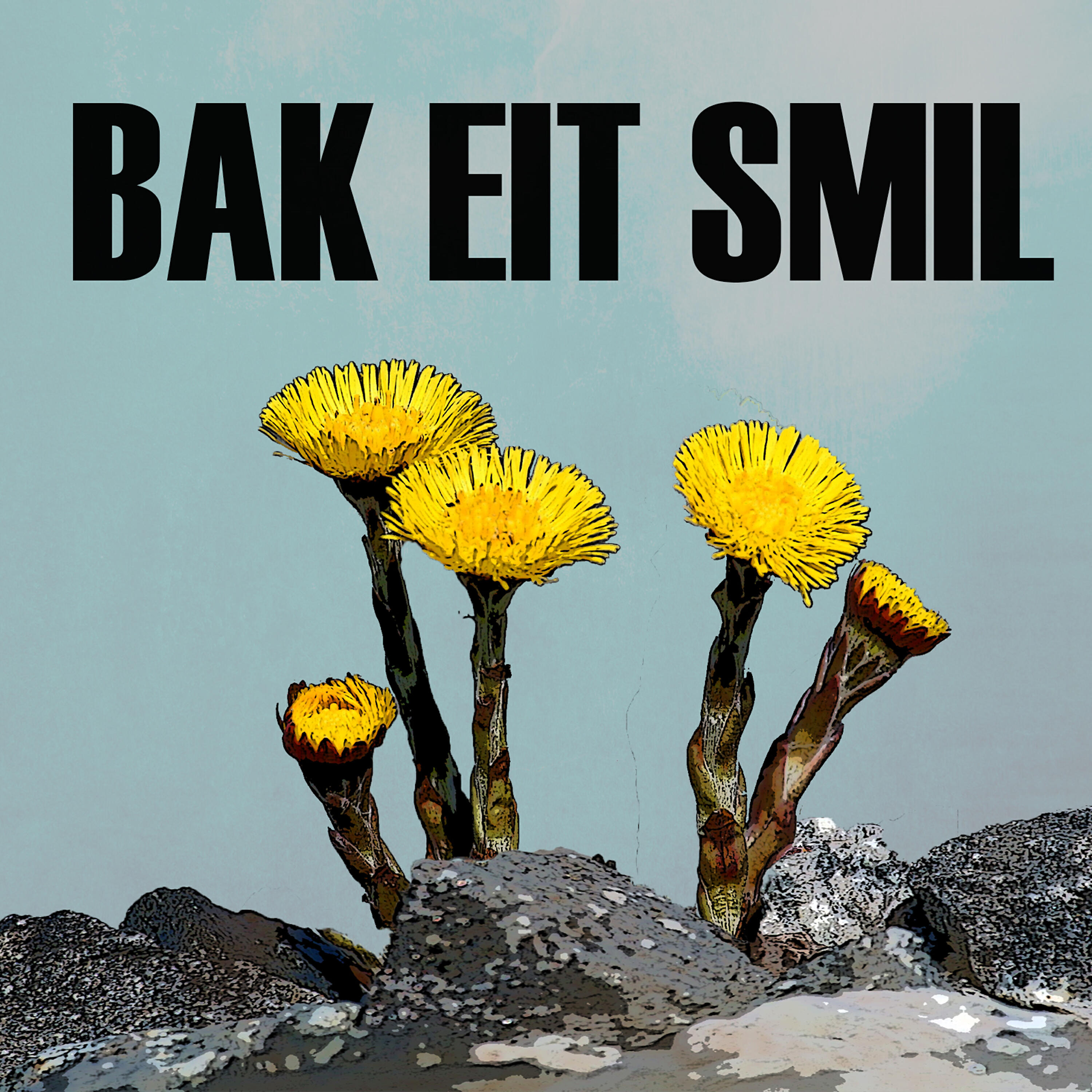 Kontrollert Kaos - Bak Eit Smil