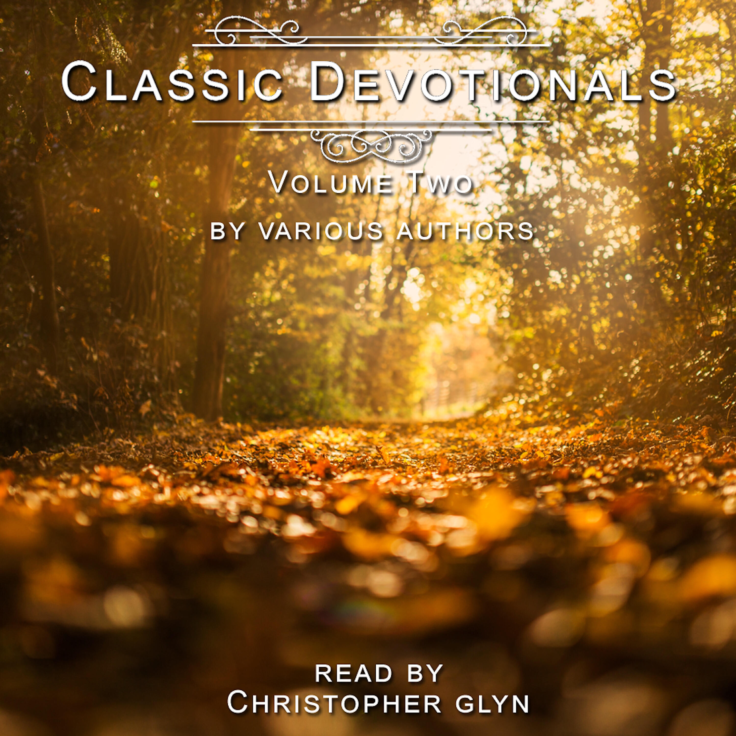 Christopher Glyn - The Loving Heart of an Actual Living Christ! - J.C. Ryle