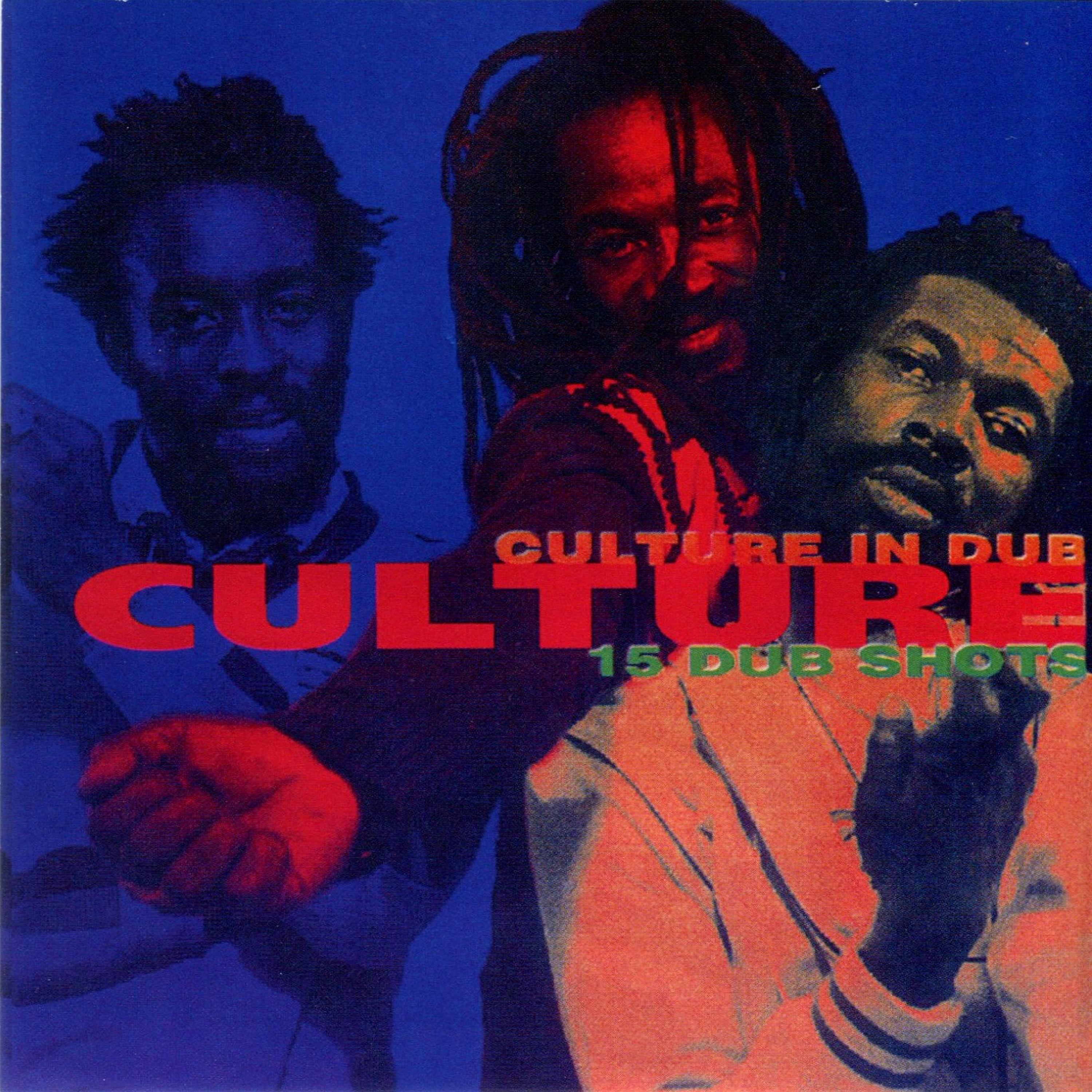 Постер альбома Culture in Dub