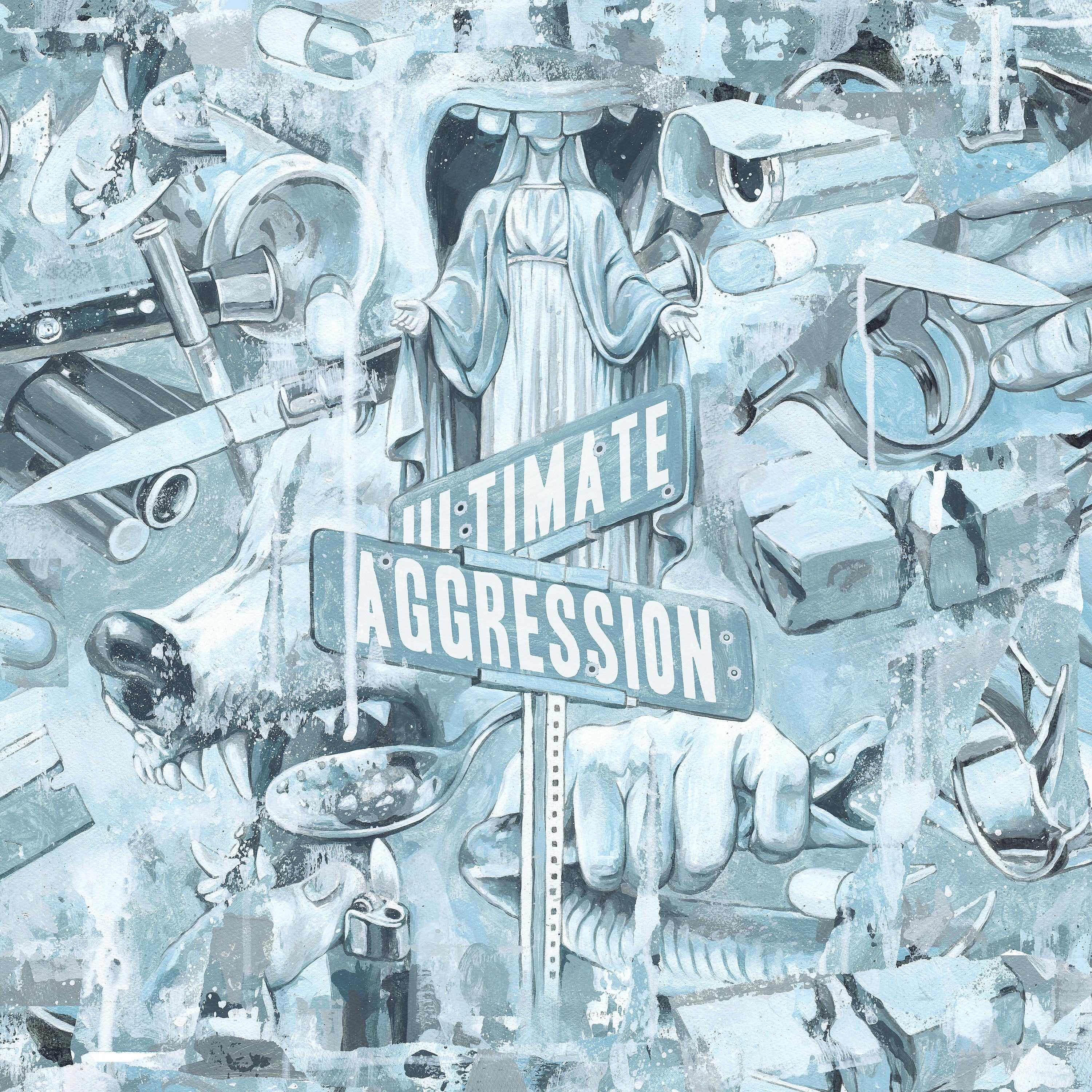 Постер альбома Ultimate Aggression