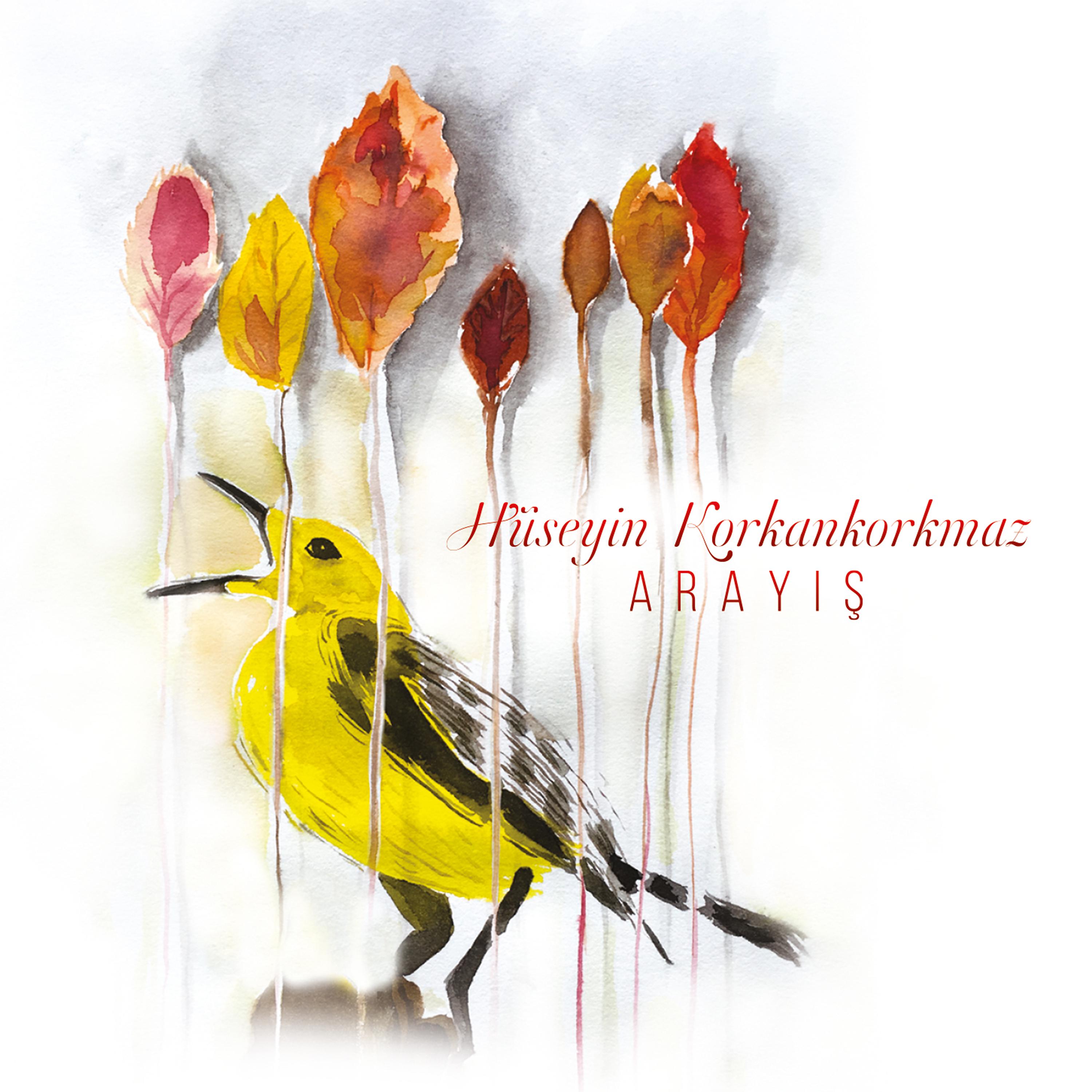 Постер альбома Arayış