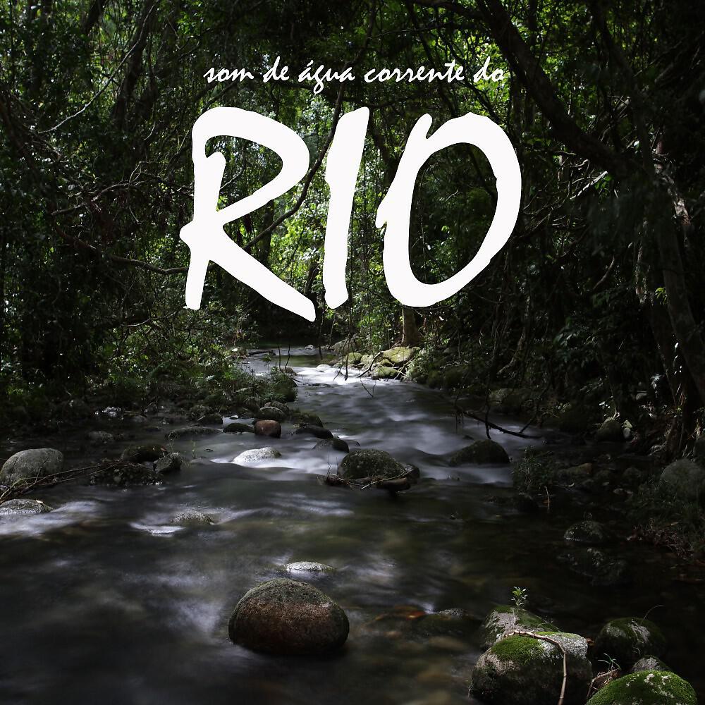 Sons da Natureza Projeto ECO Brasil - Água de Rio, Pt. 08