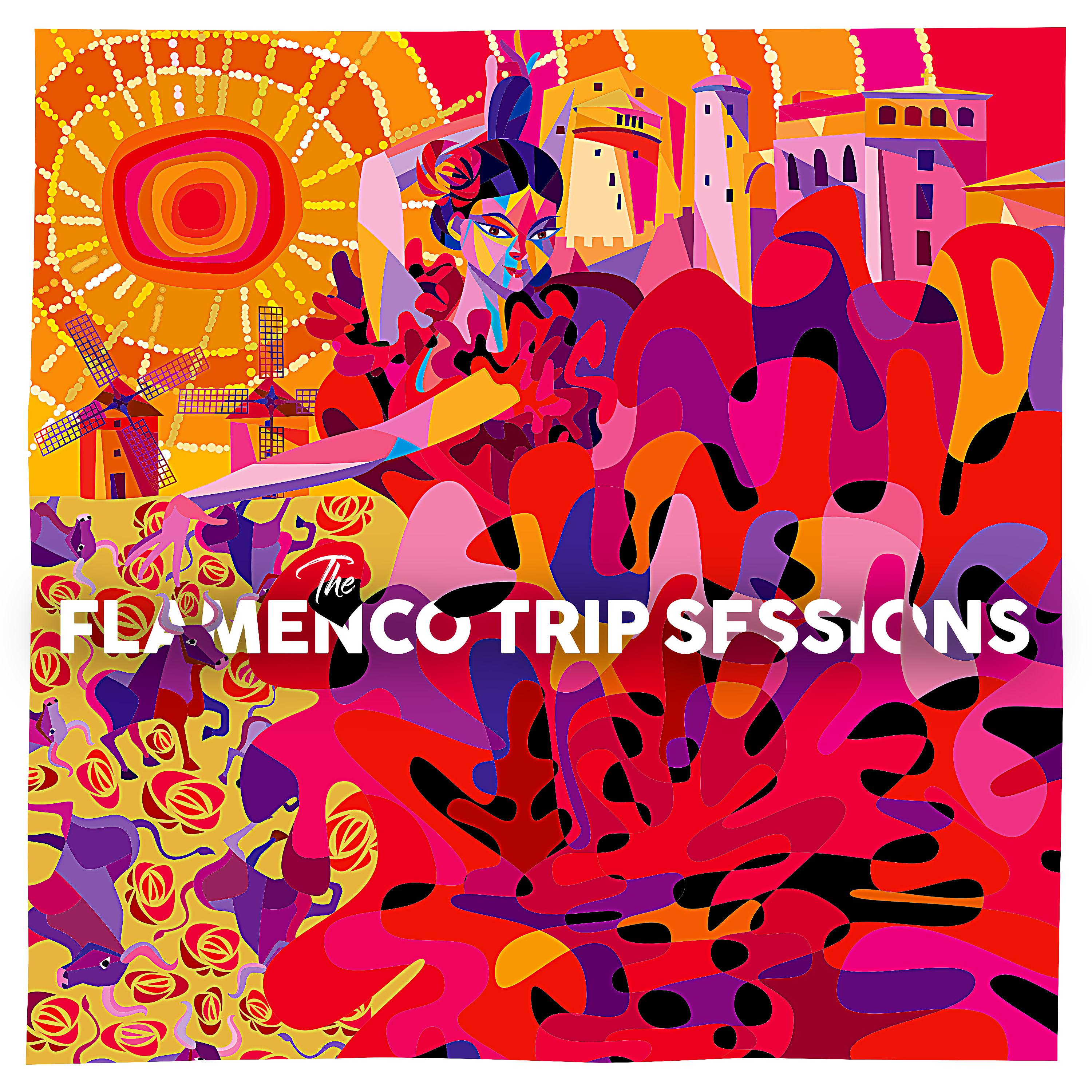 Постер альбома The Flamenco Trip Sessions