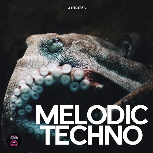 Постер альбома Melodic Techno