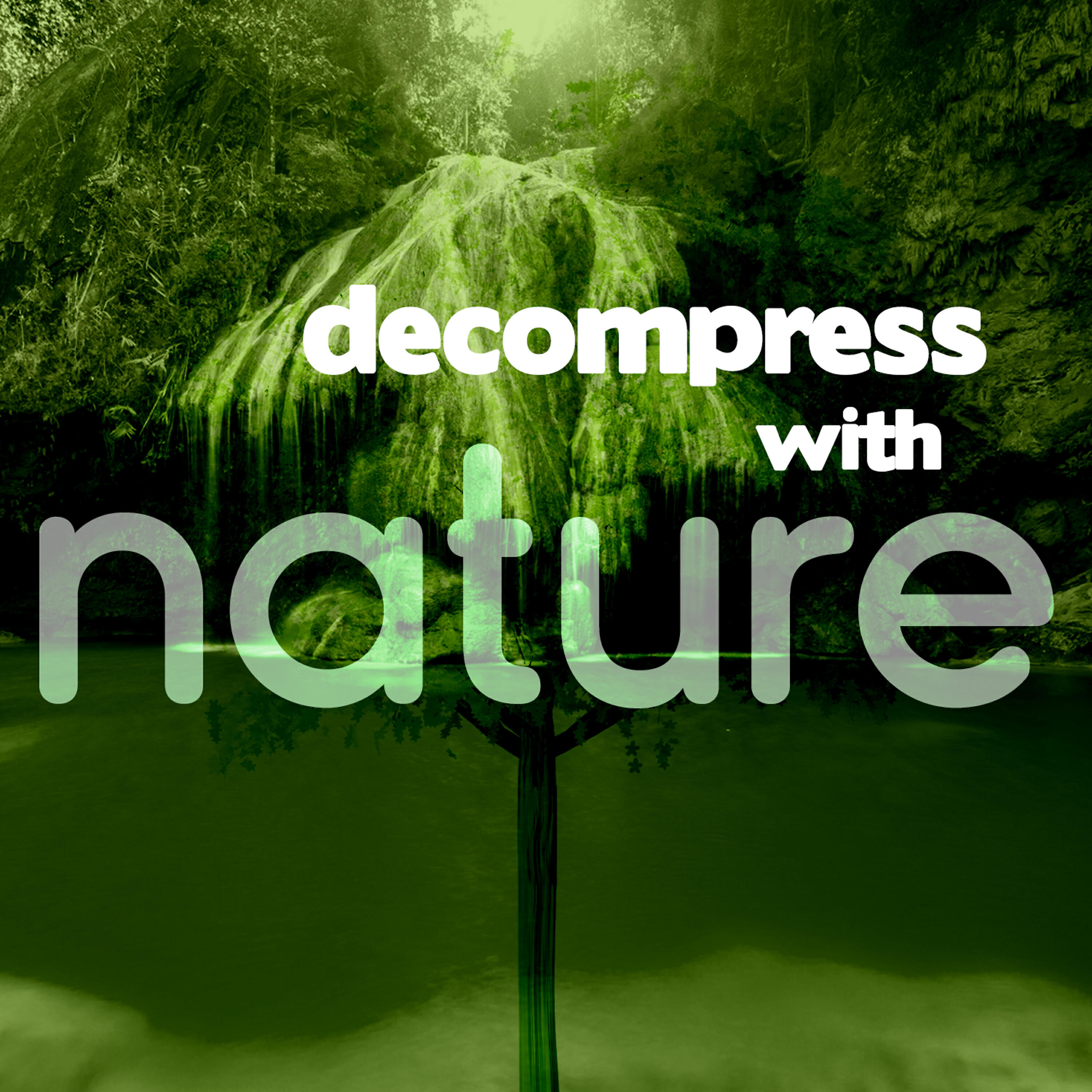 Nature Sounds 2015 - Woodland Opening