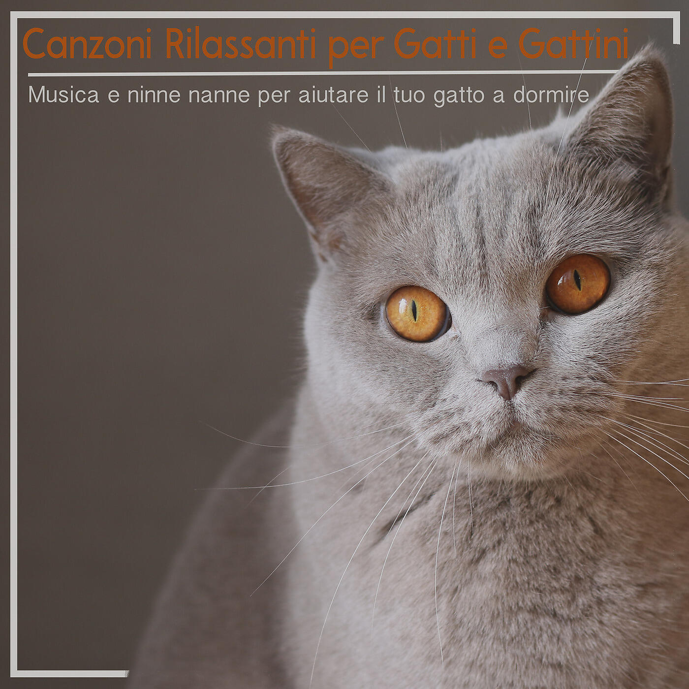 RelaxMyCat - Riposo in Giardino