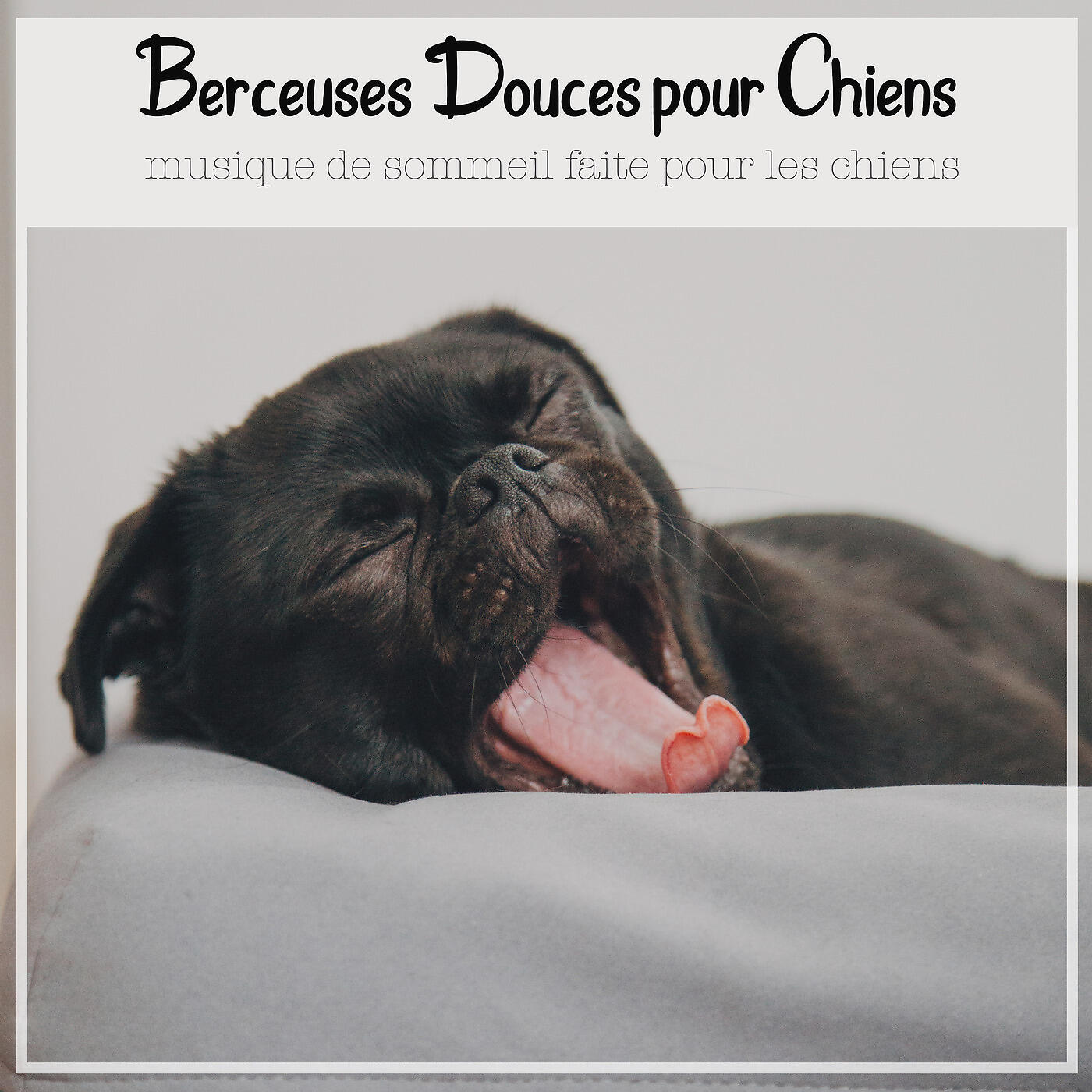 RelaxMyDog - Nounours chaud