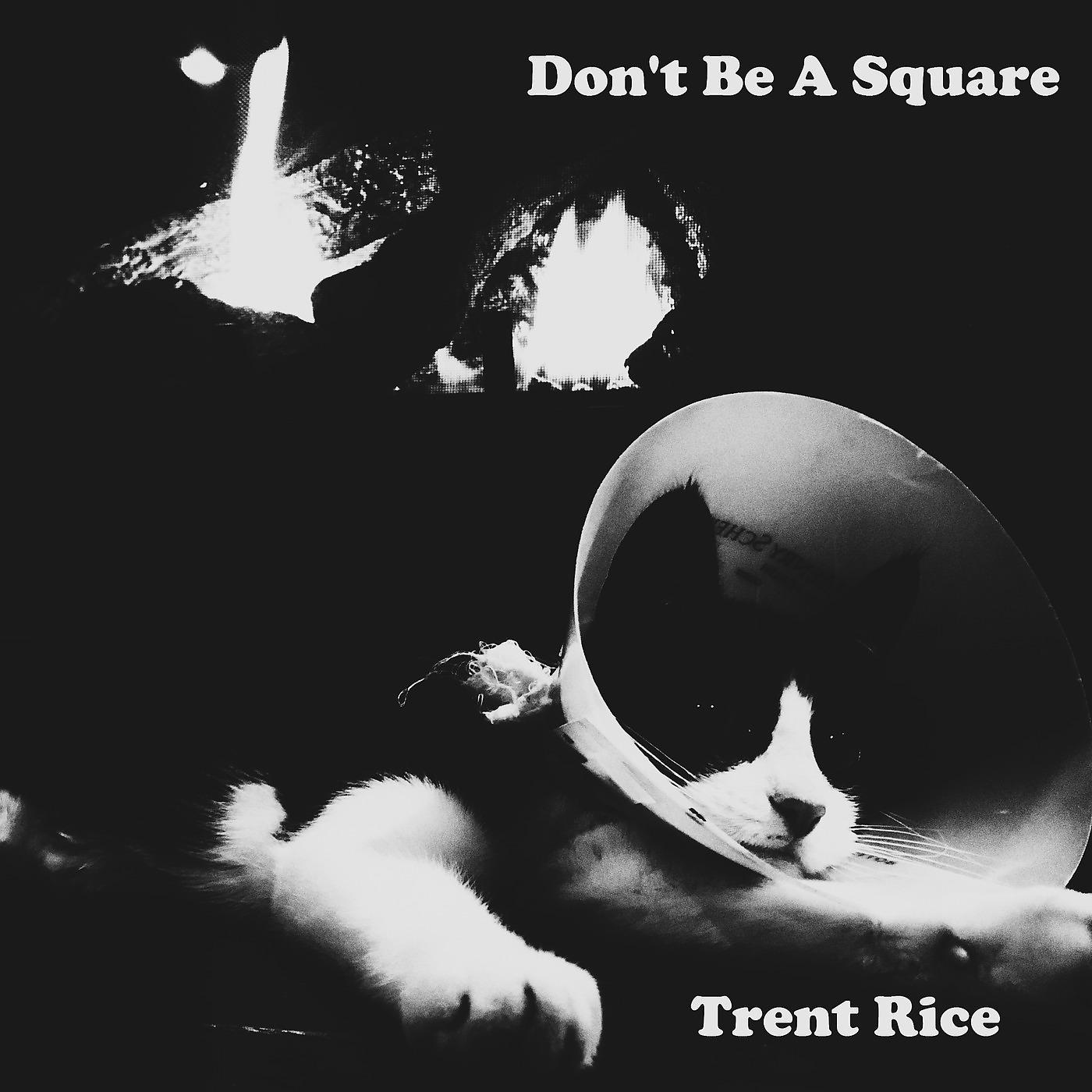 Постер альбома Don't Be a Square
