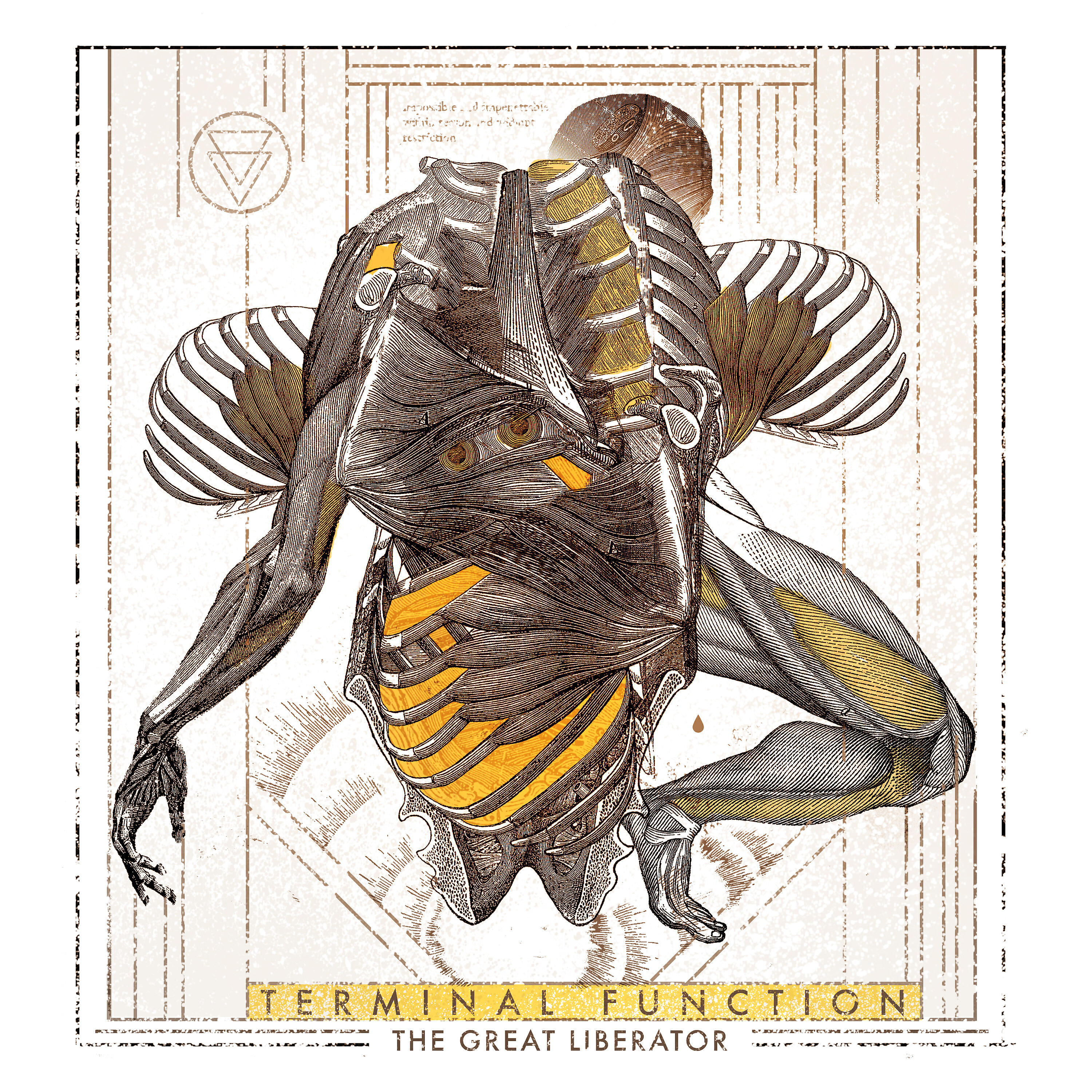 Terminal Function - Elles Surgissent