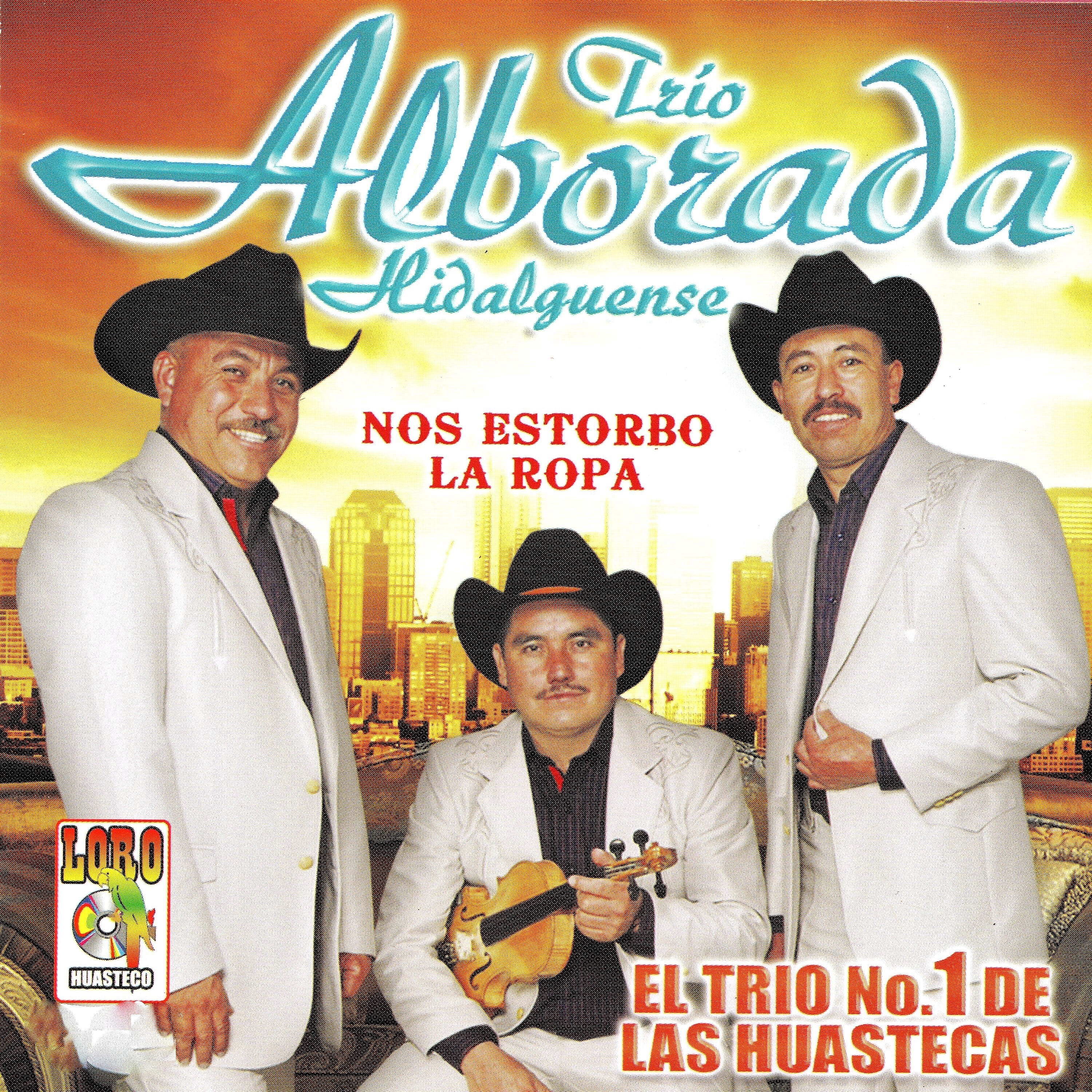 Trio Alborada Higalguense - Ando Navegando