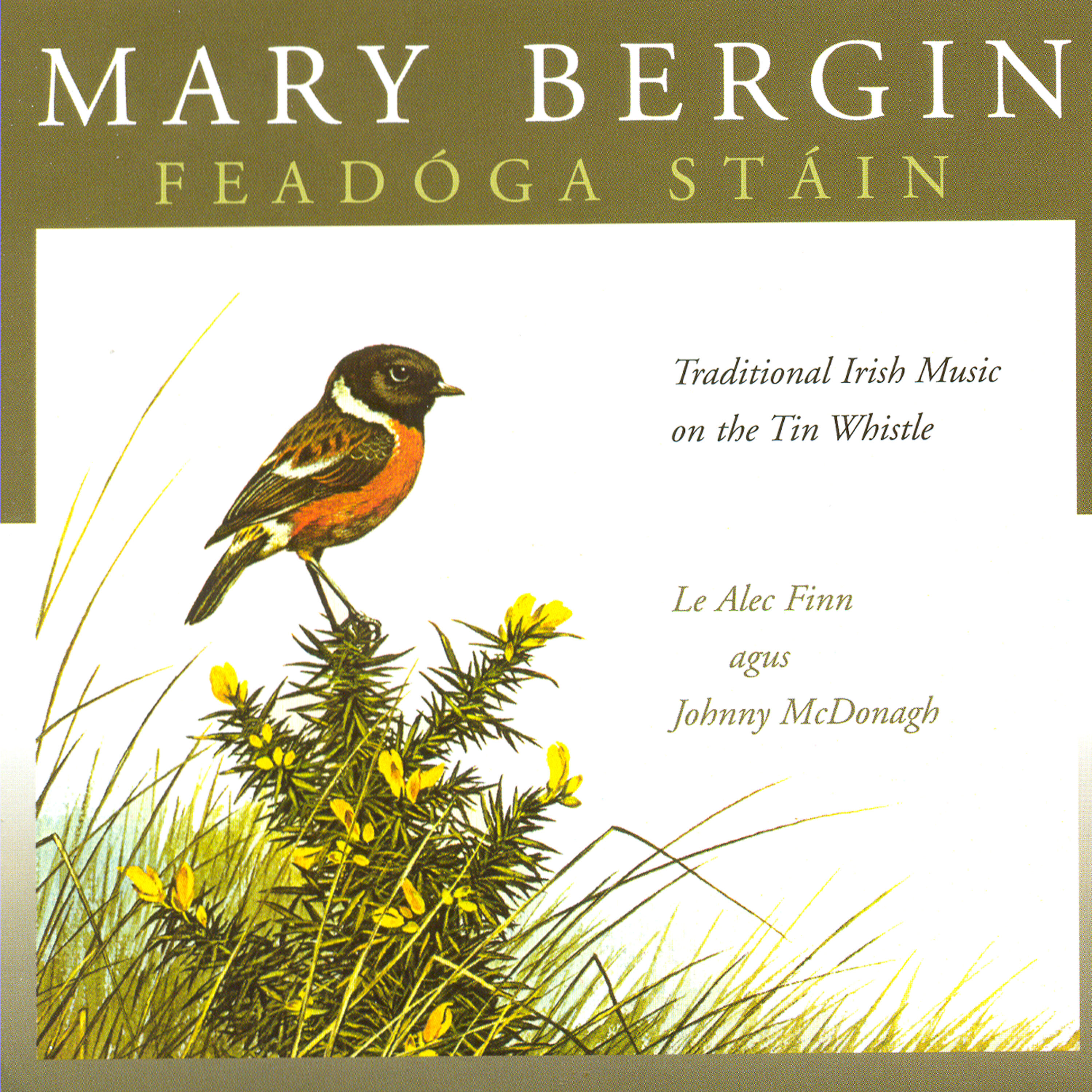Mary Bergin - The Monaghan Jig / Nóra Chríonna