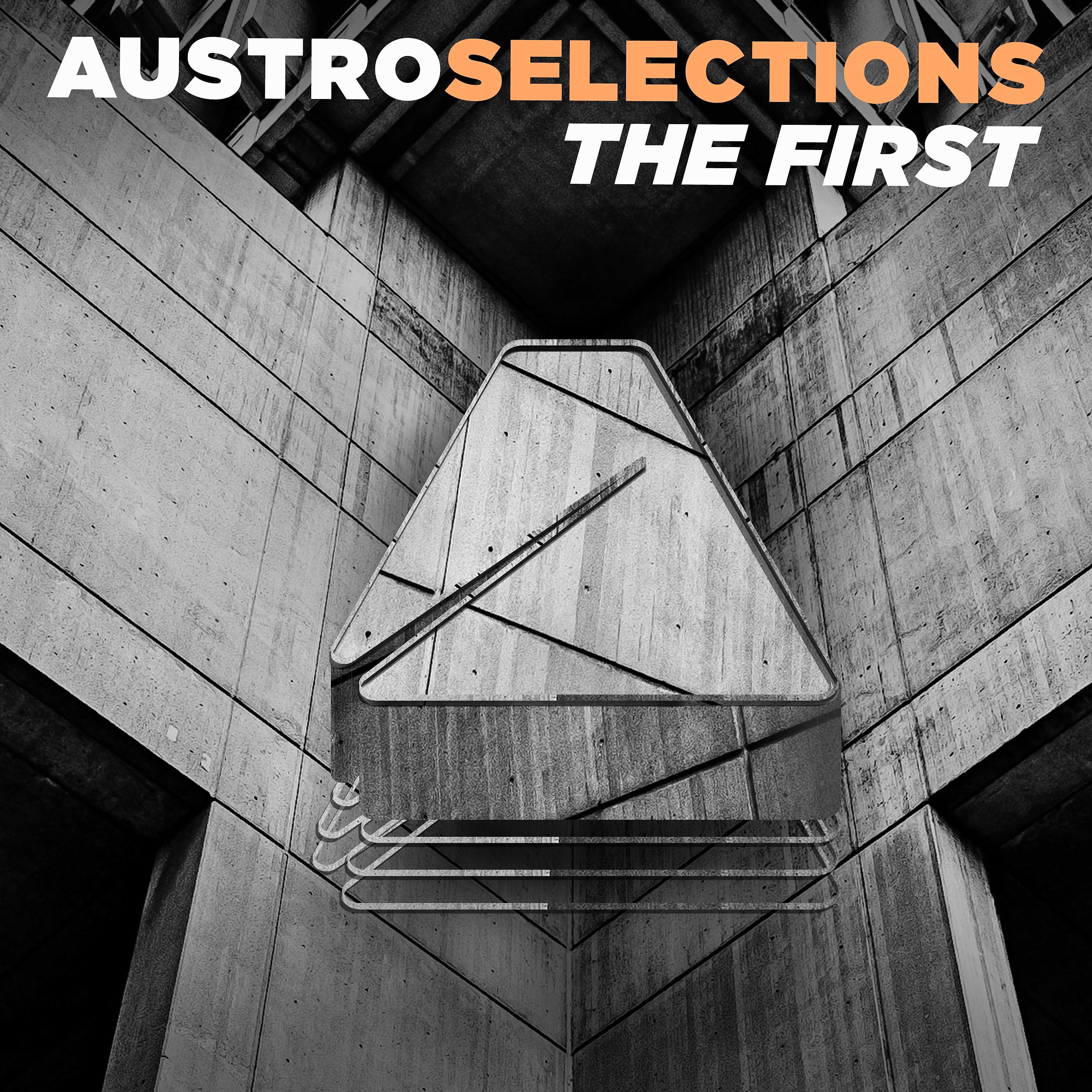 Постер альбома Austro Selections: The First