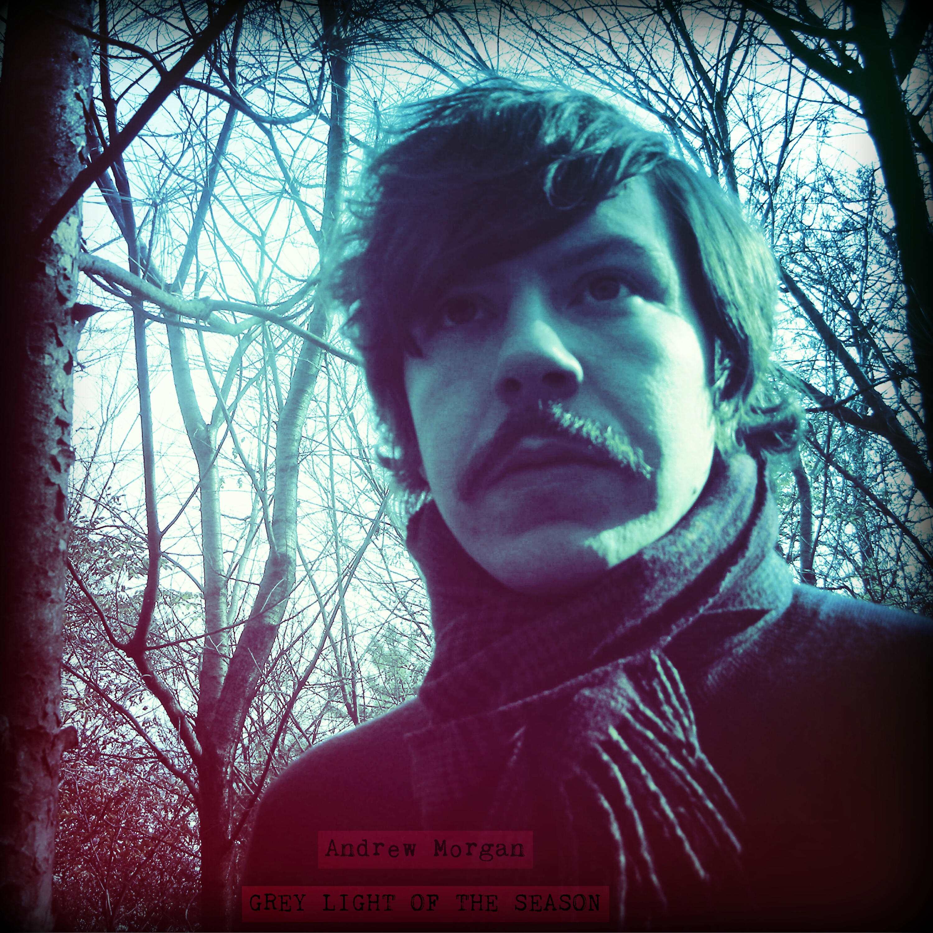 Andrew Morgan - Laurel II