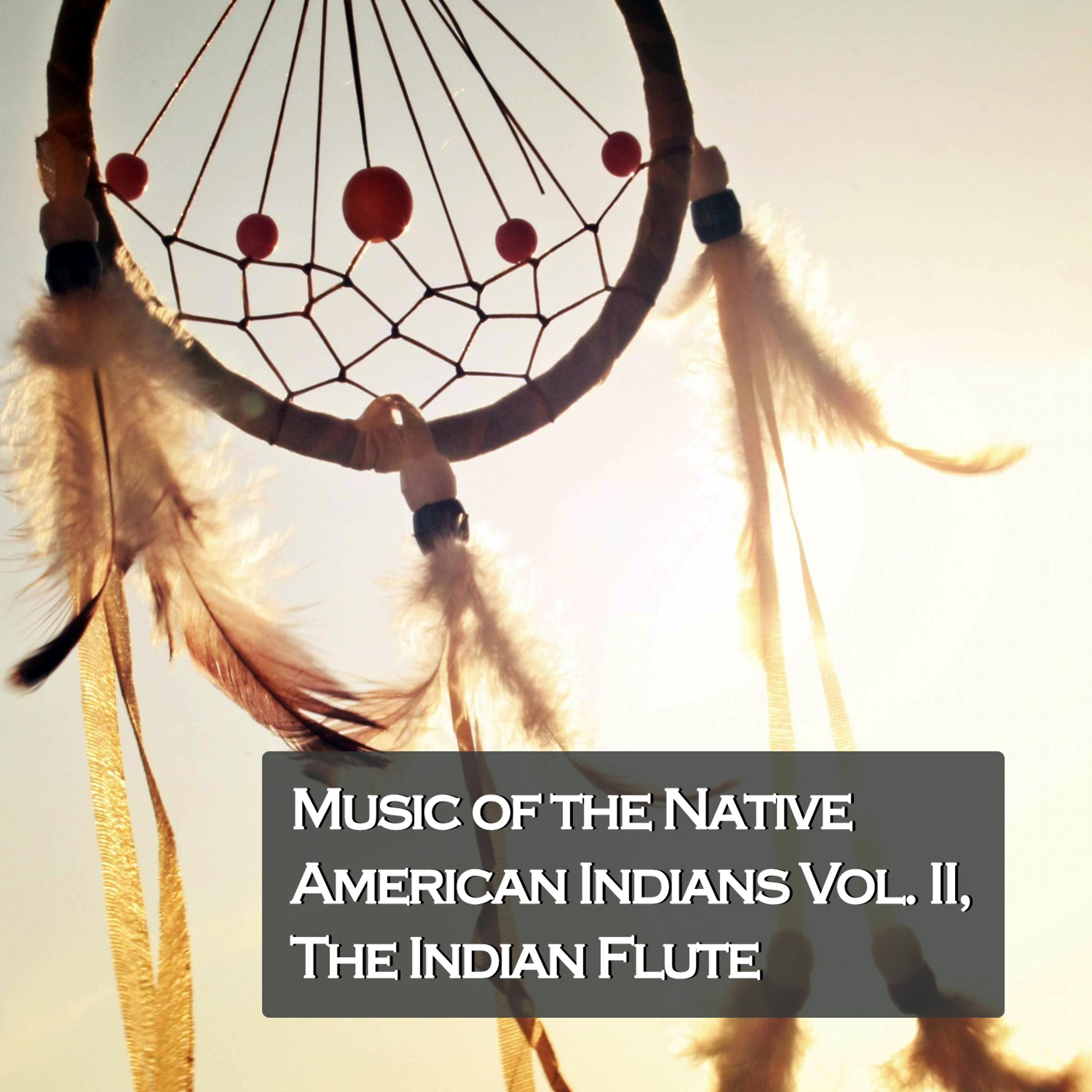 Постер альбома Music of the Native American Indians Vol. II, The Indian Flute