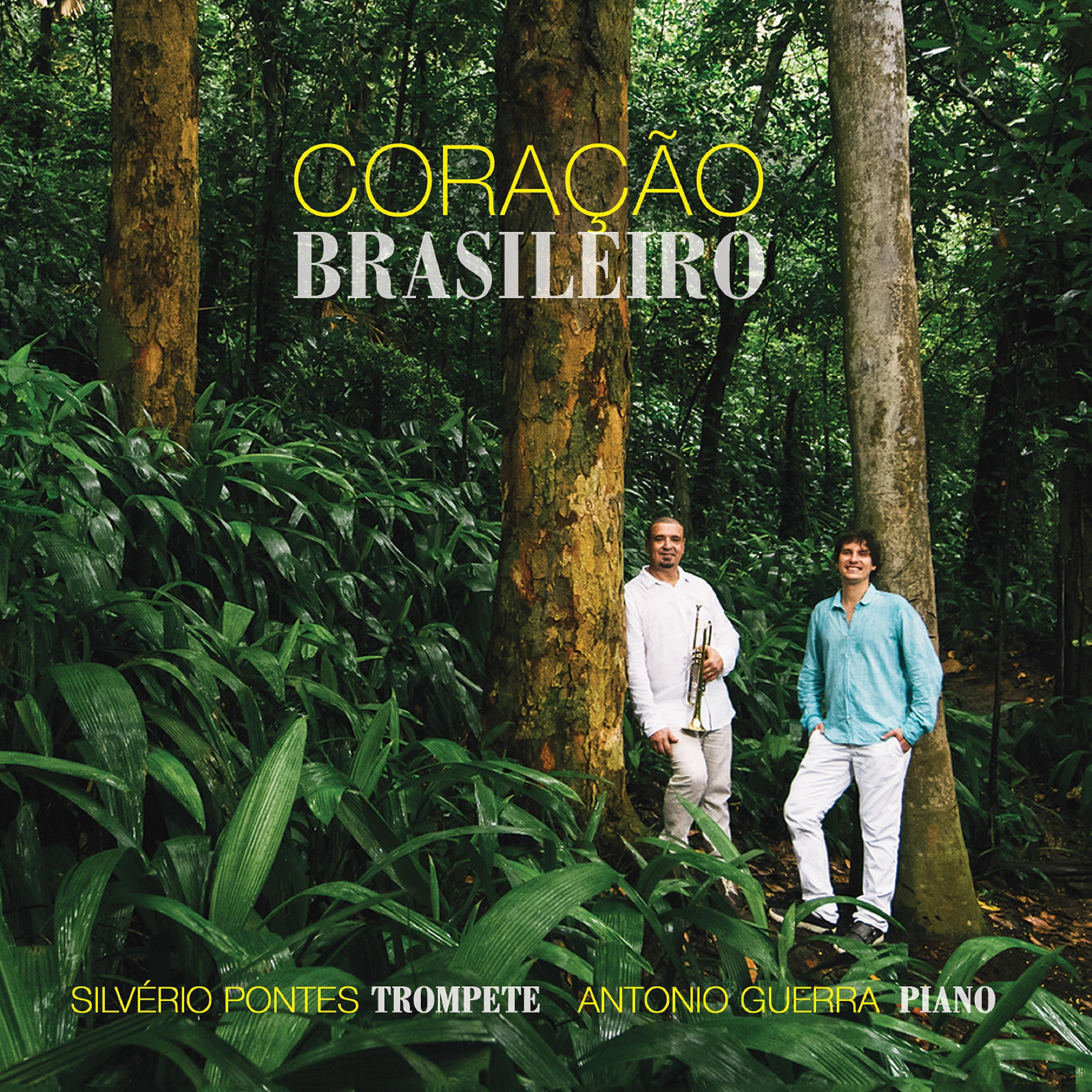 Постер альбома Coração Brasileiro