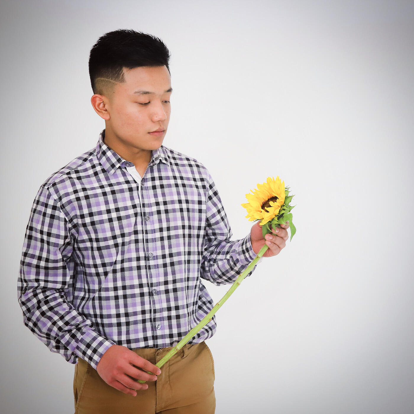 Yellow Muzik - My Sunflower