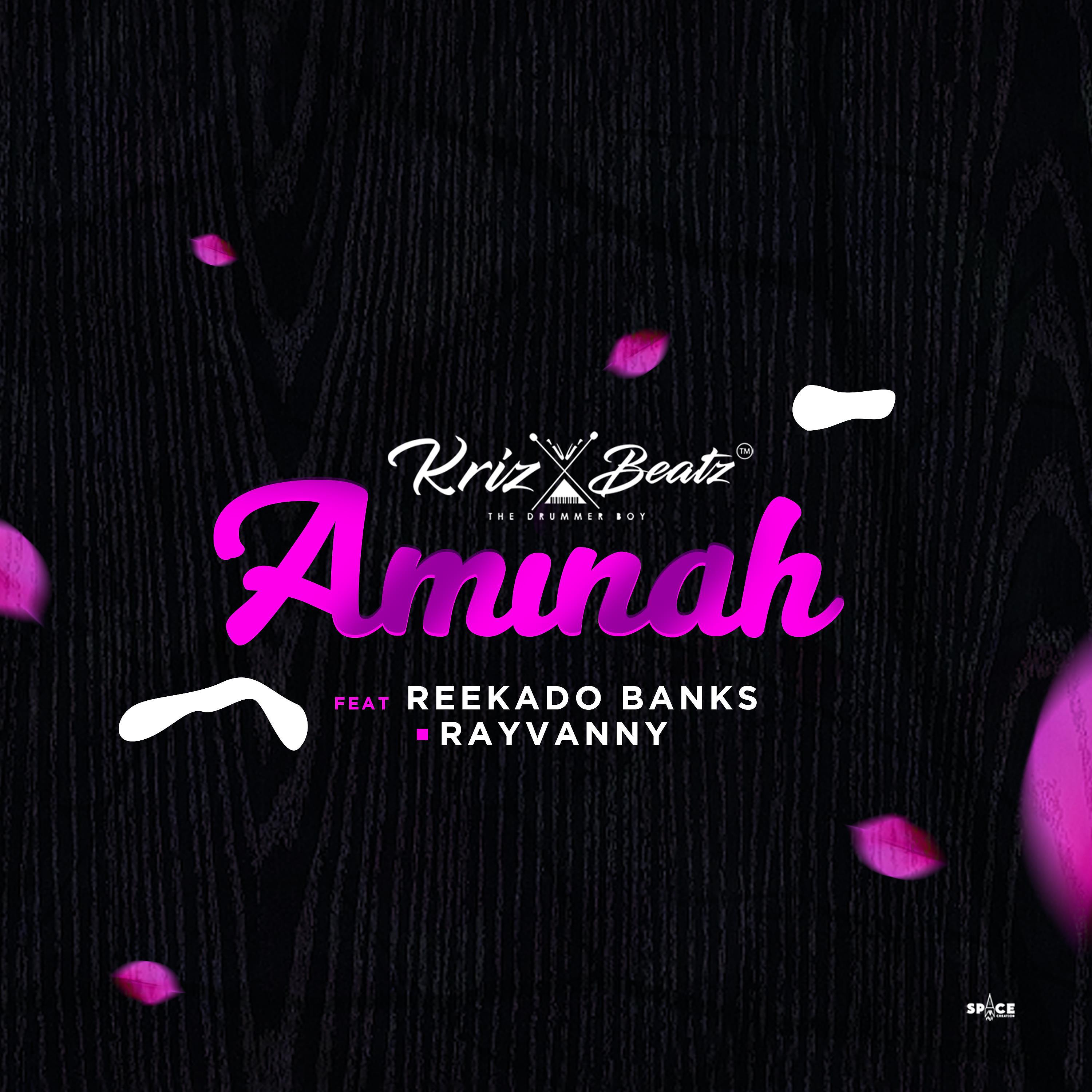 Постер альбома Aminah