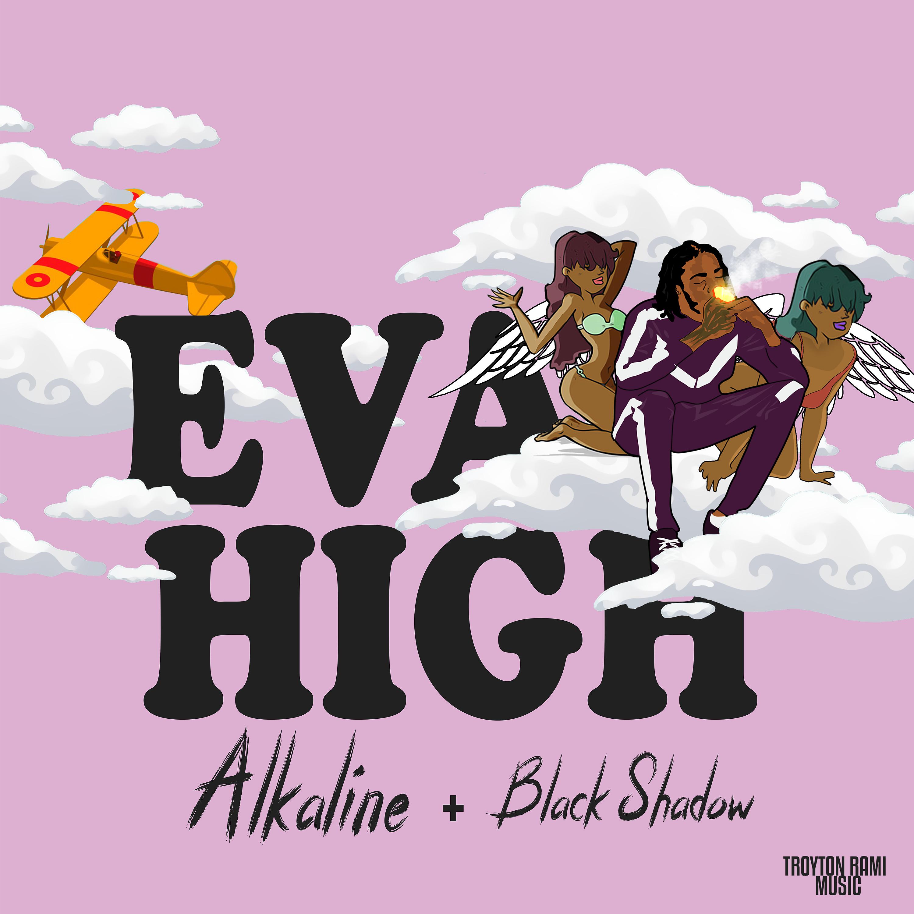Постер альбома Eva High