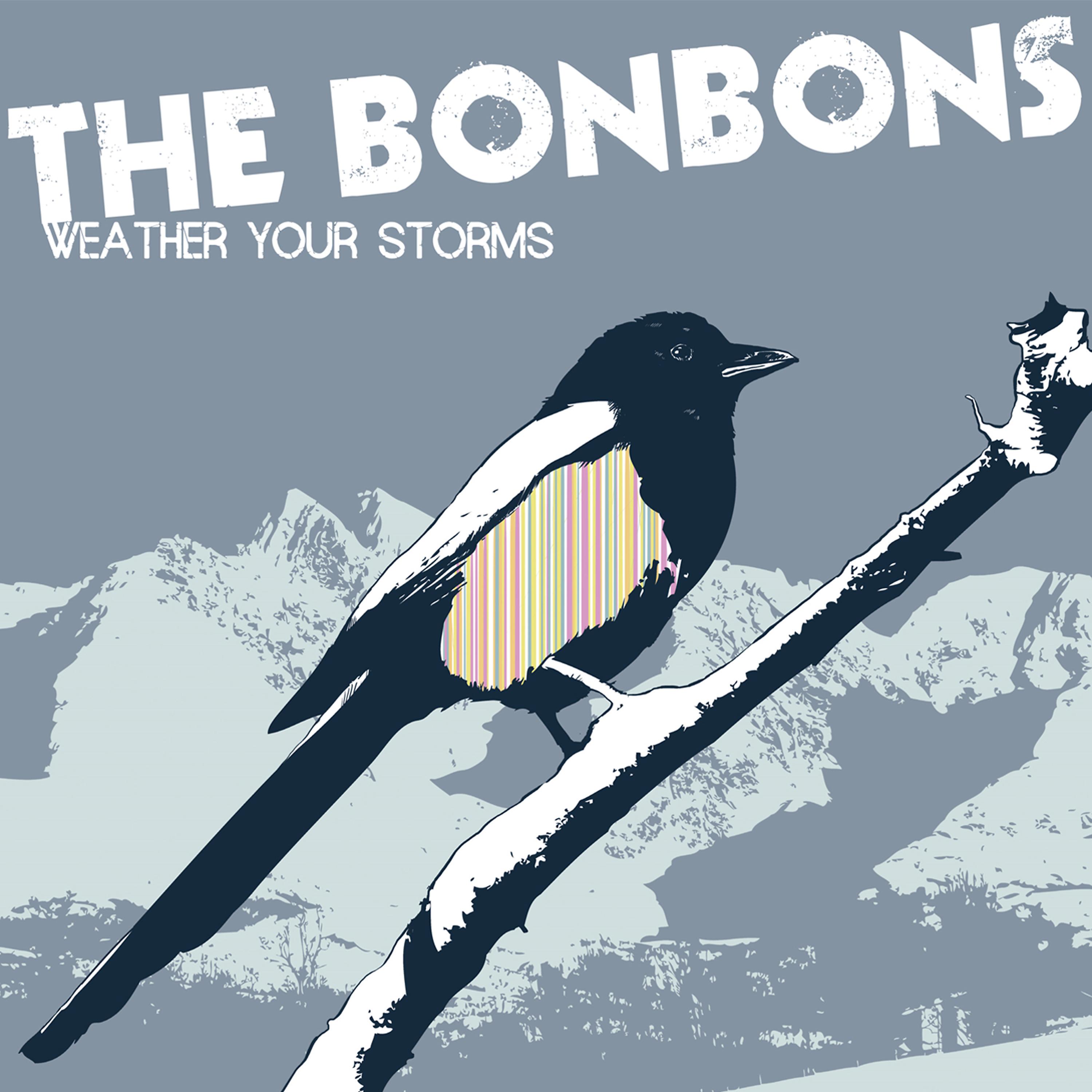 Постер альбома Weather Your Storms
