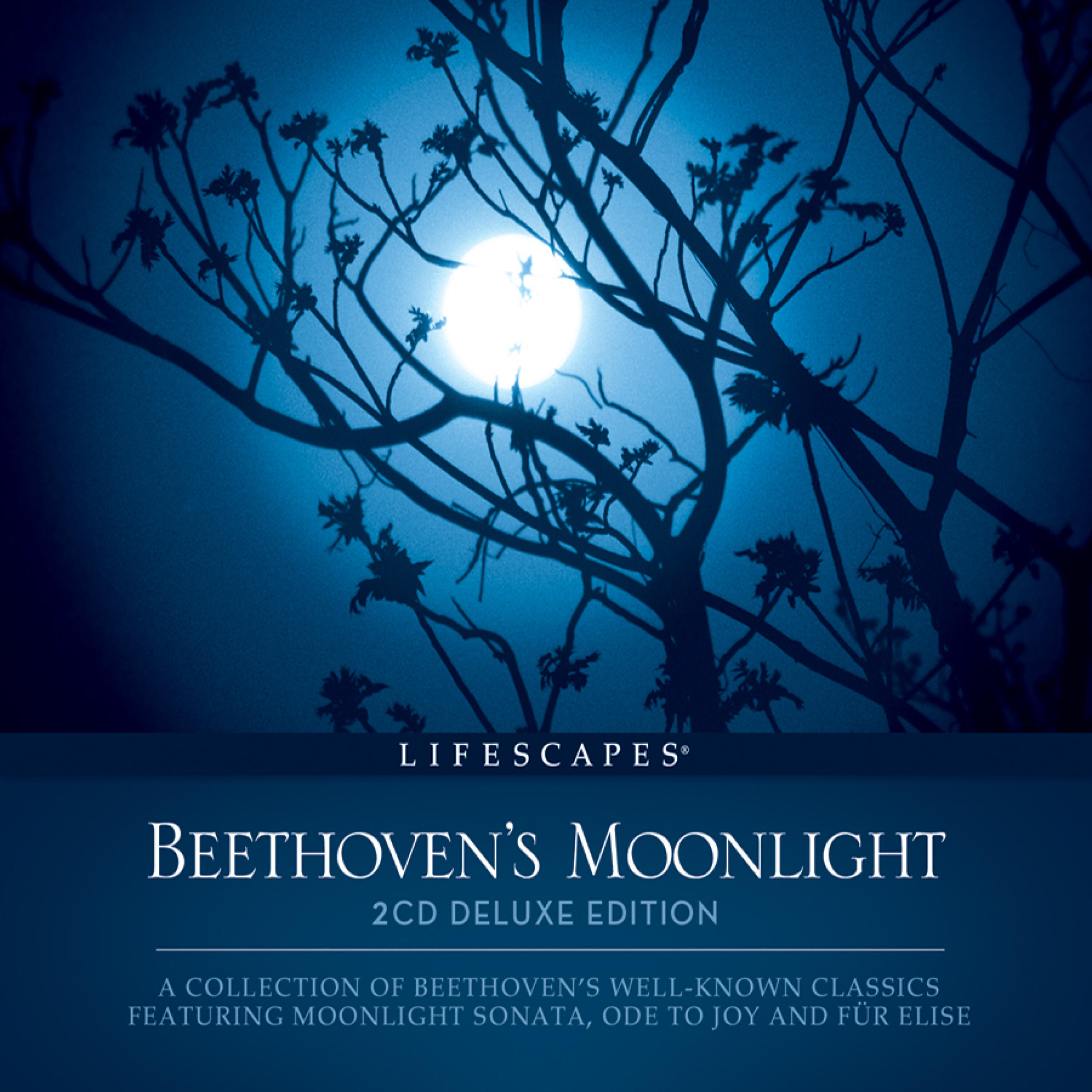 Wayne Jones - String Quartet No.1 in F Major, Op.18: I. Allegro con Brio (Quartet)