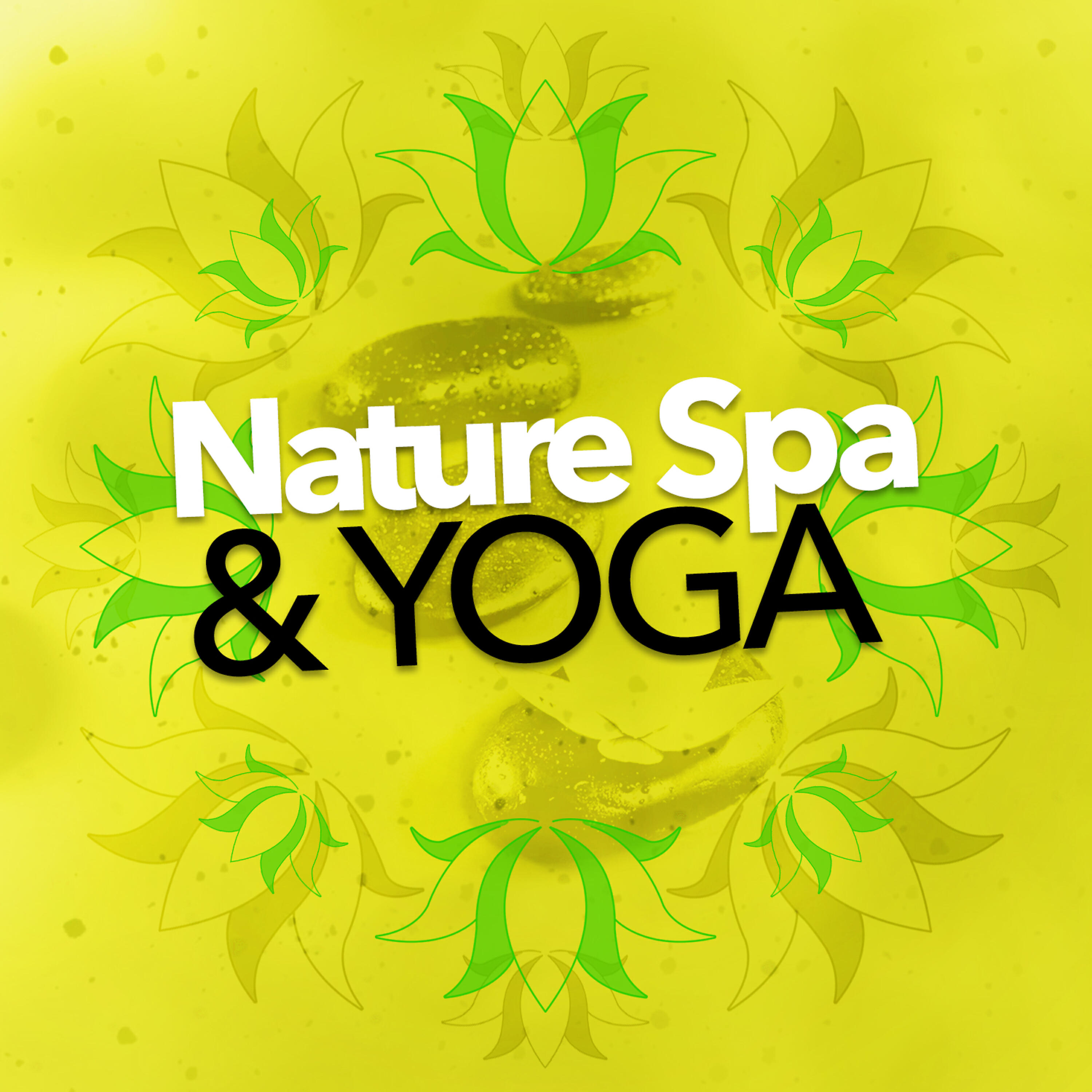 Forest Sounds Relaxing Spa Music Singing Birds - Birds in the Forest