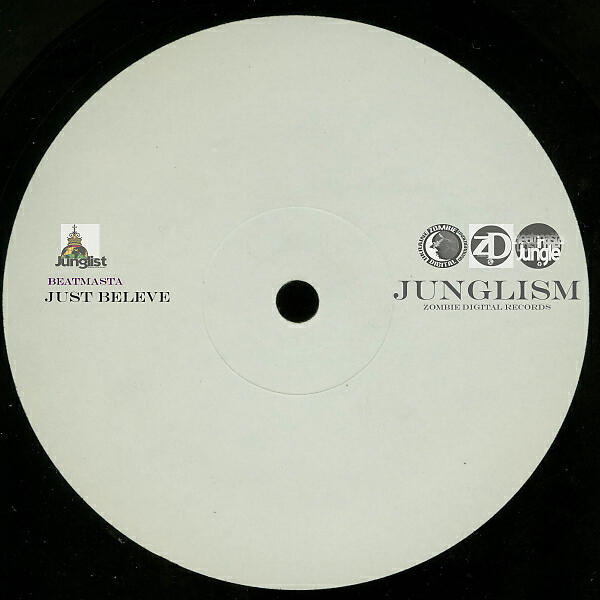 VARIOUS ARTISTS - Liam Howlet`s tune (Beatmasta, Bobby Joe & 9TH BEAT'Z do is the jungle version)