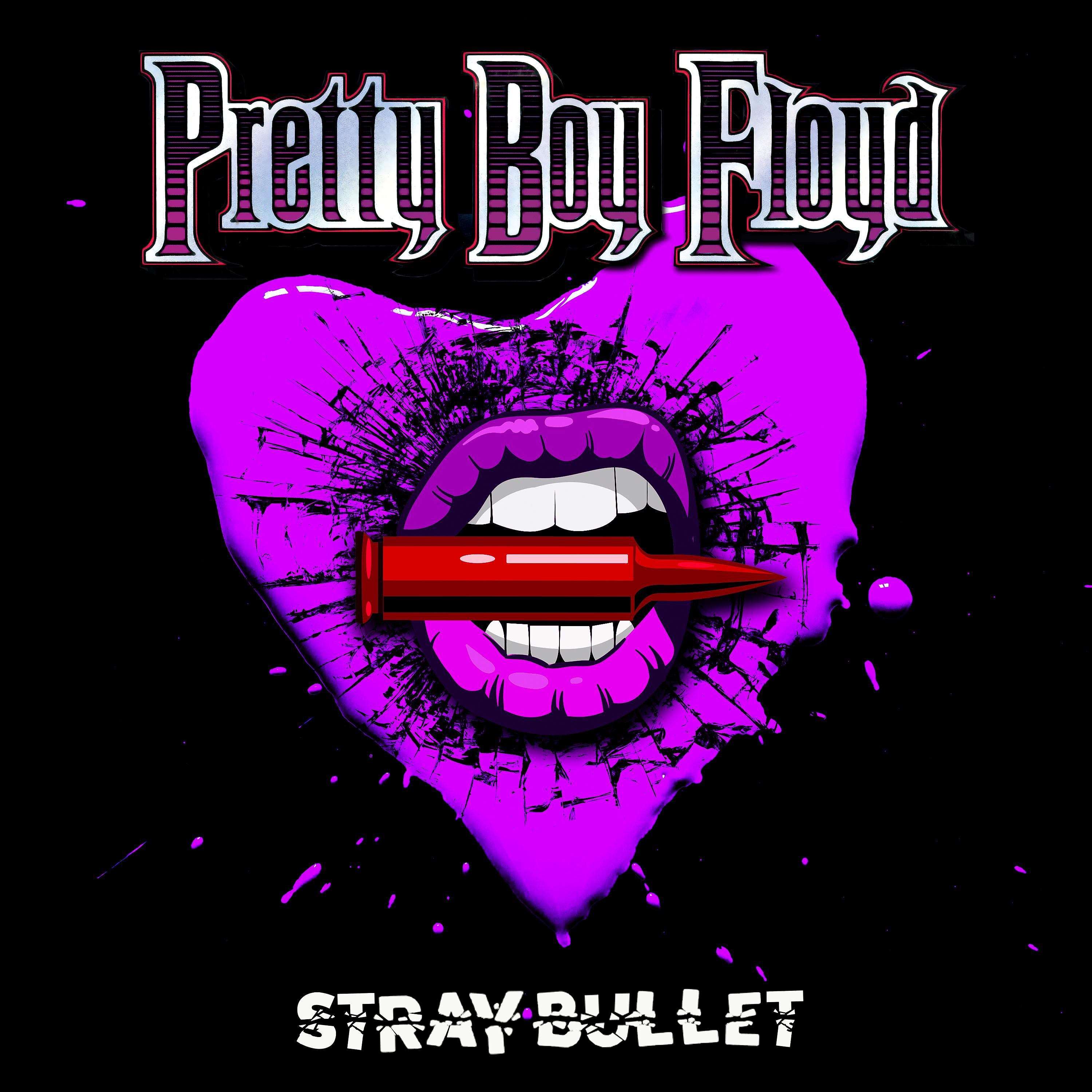 Постер альбома Stray Bullet