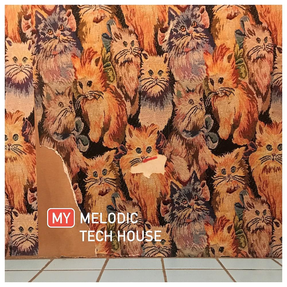 Постер альбома My Melodic Tech House