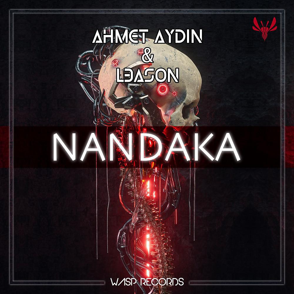 Постер альбома Nandaka