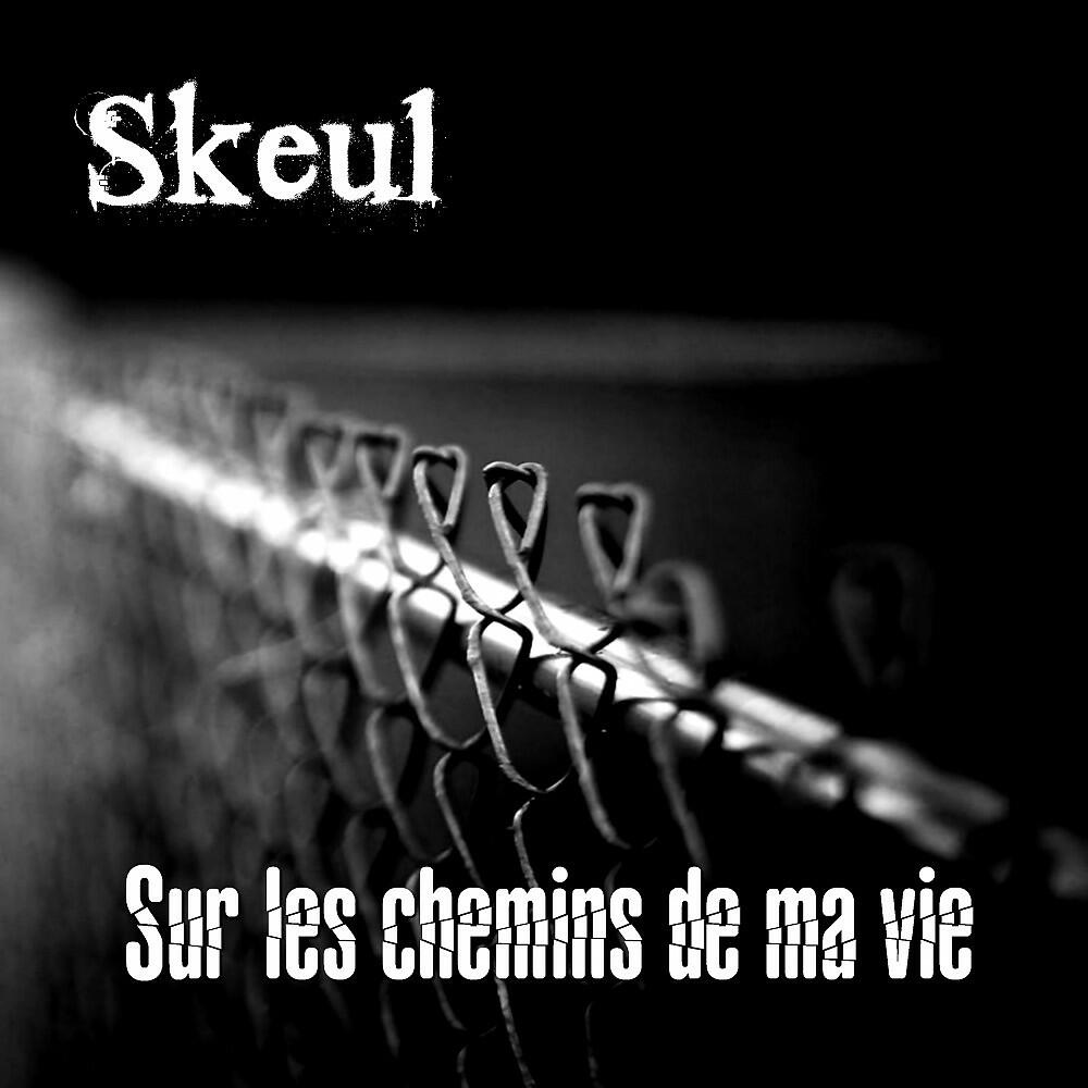 Skeul - Dans le son
