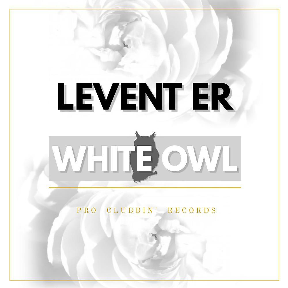 Постер альбома White Owl